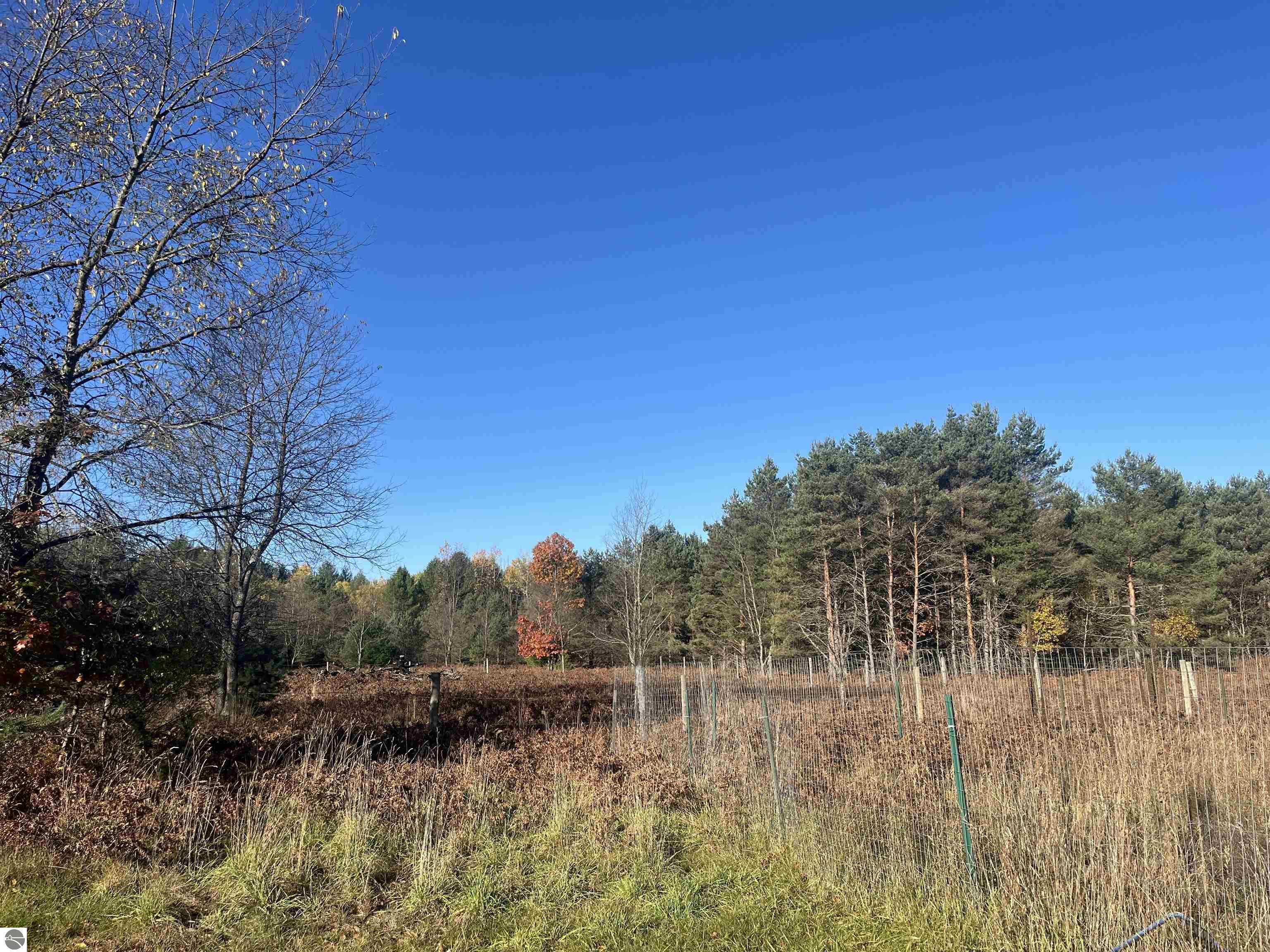 2800 Bonfire Trail