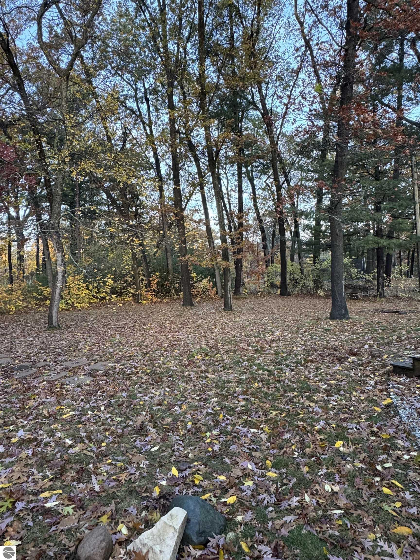 636 Terrace Drive