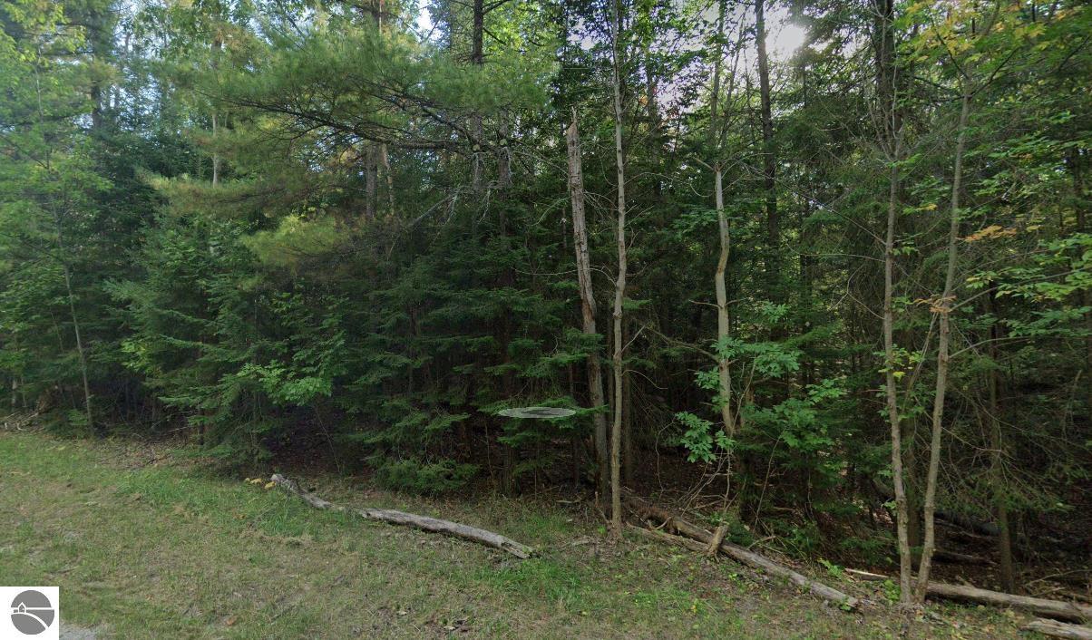 122 E Mullett Lake Road