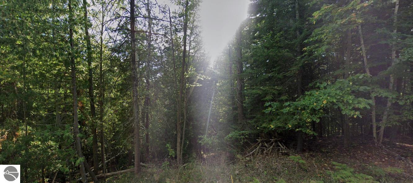 122 E Mullett Lake Road