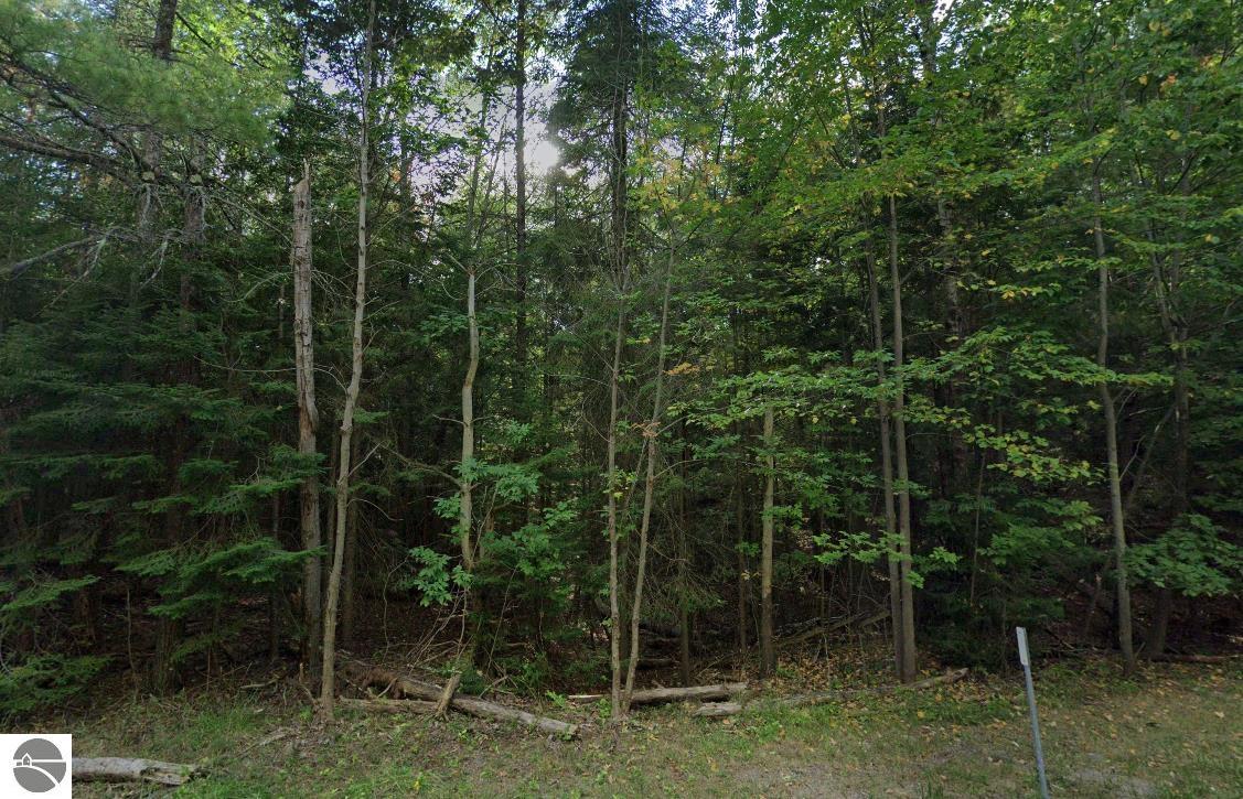 122 E Mullett Lake Road