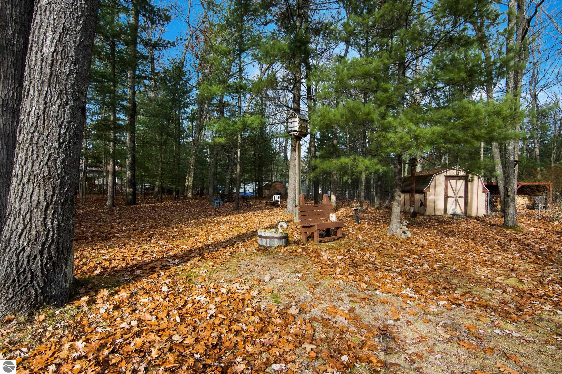 10174 Mud Lake Road