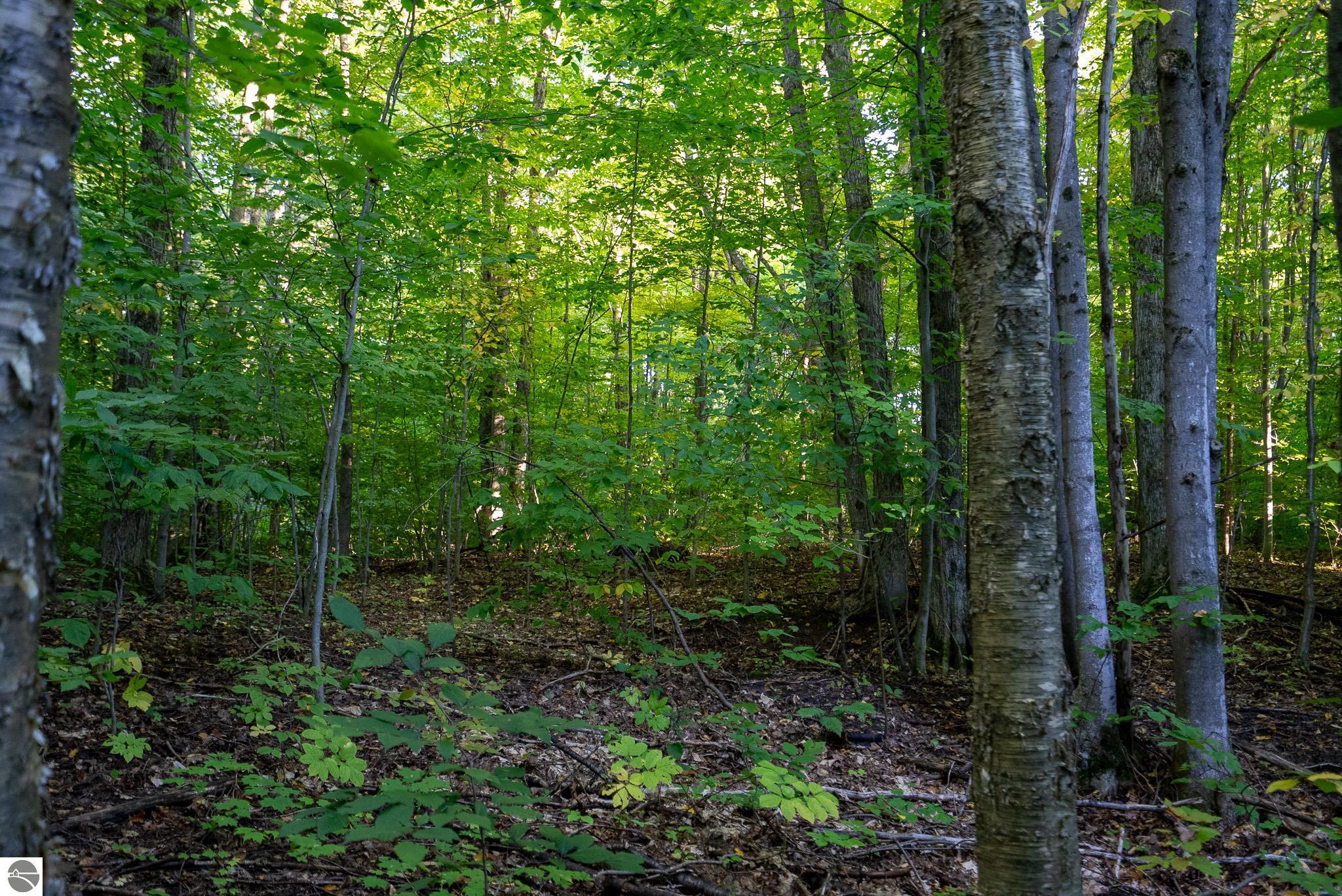 V/L Forestgrove Drive