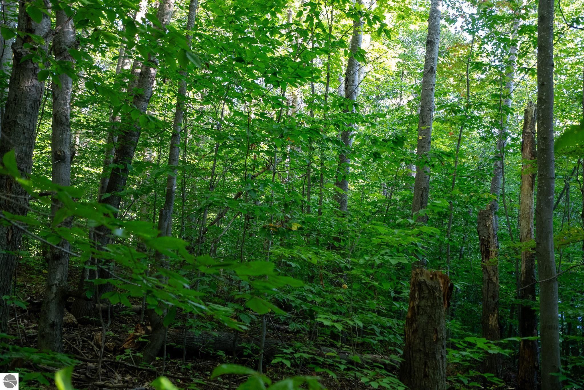 V/L Forestgrove Drive