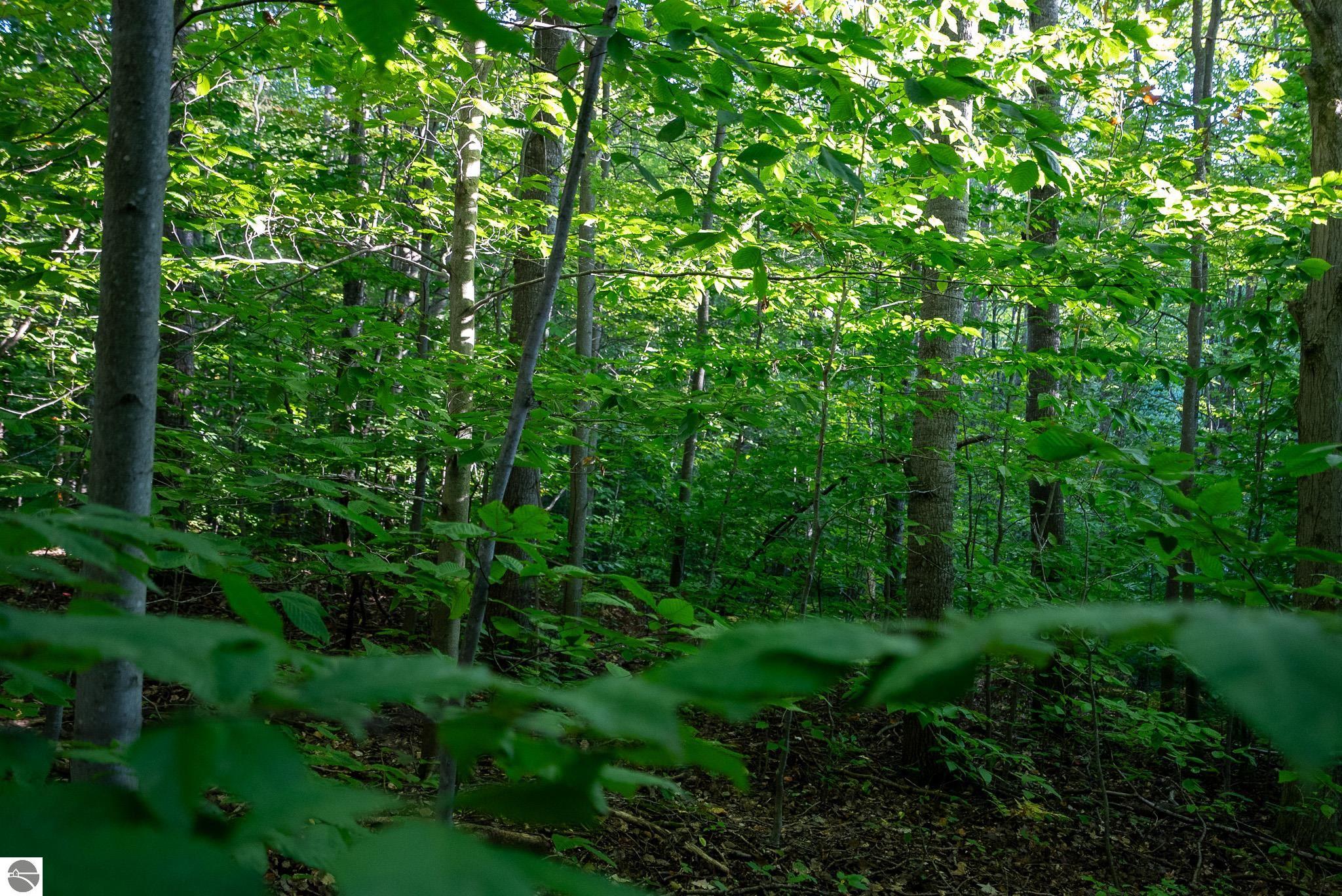 V/L Forestgrove Drive