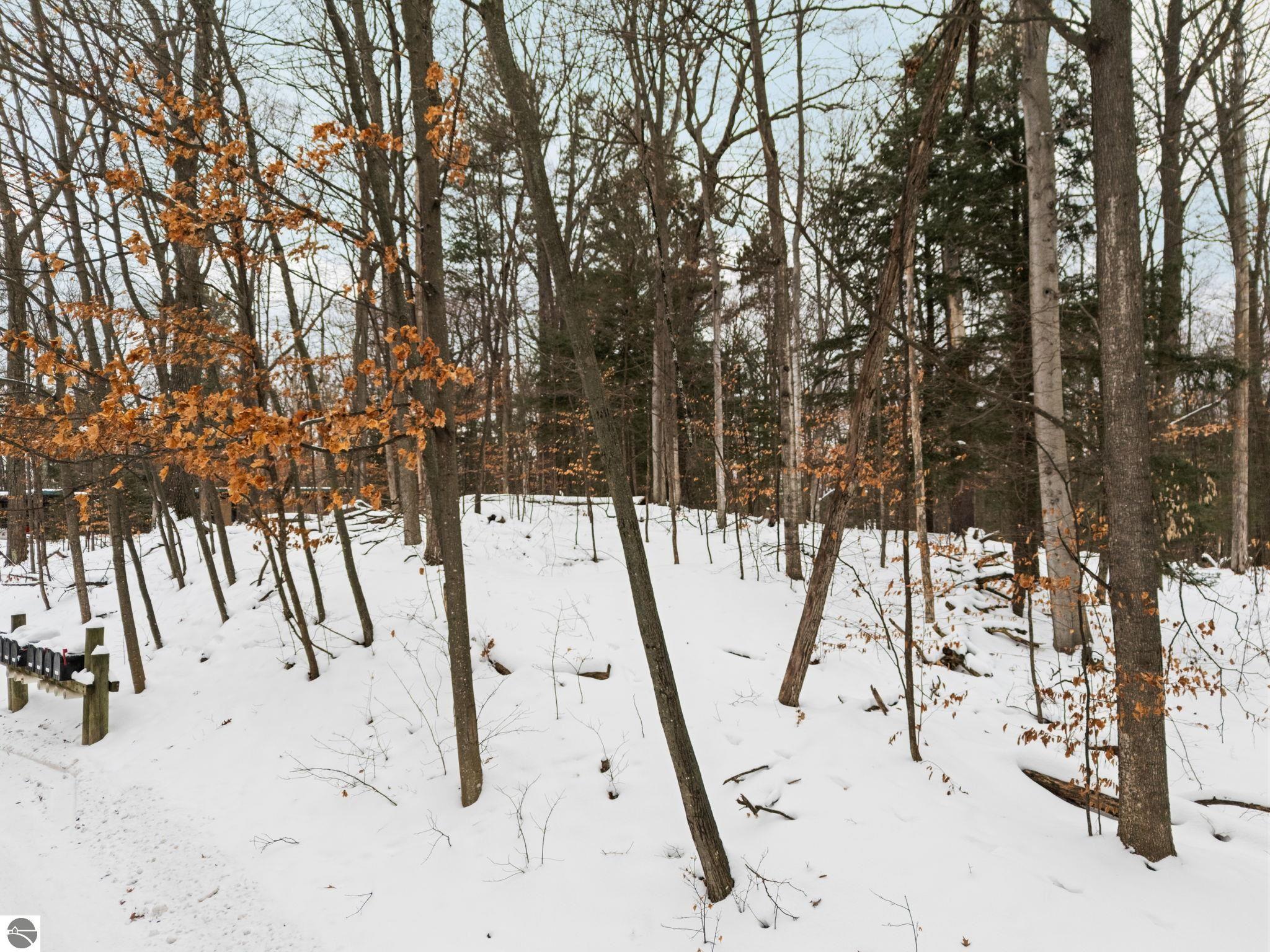 3019 Ishpeming Trail
