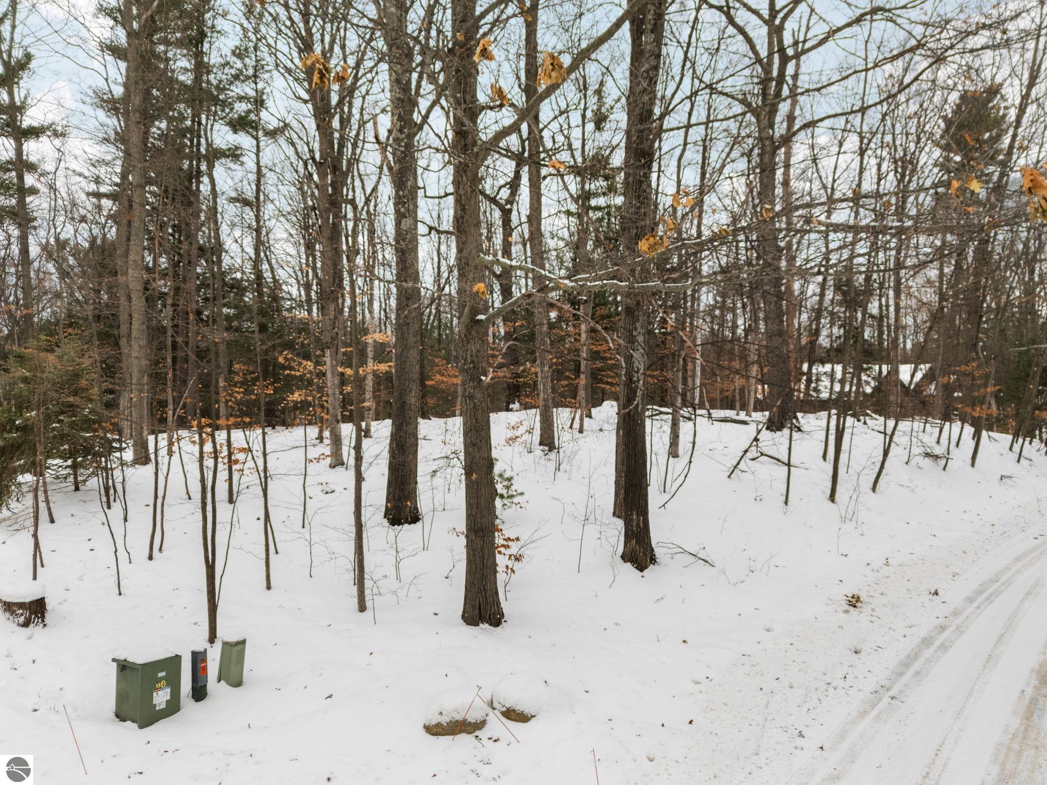 3019 Ishpeming Trail