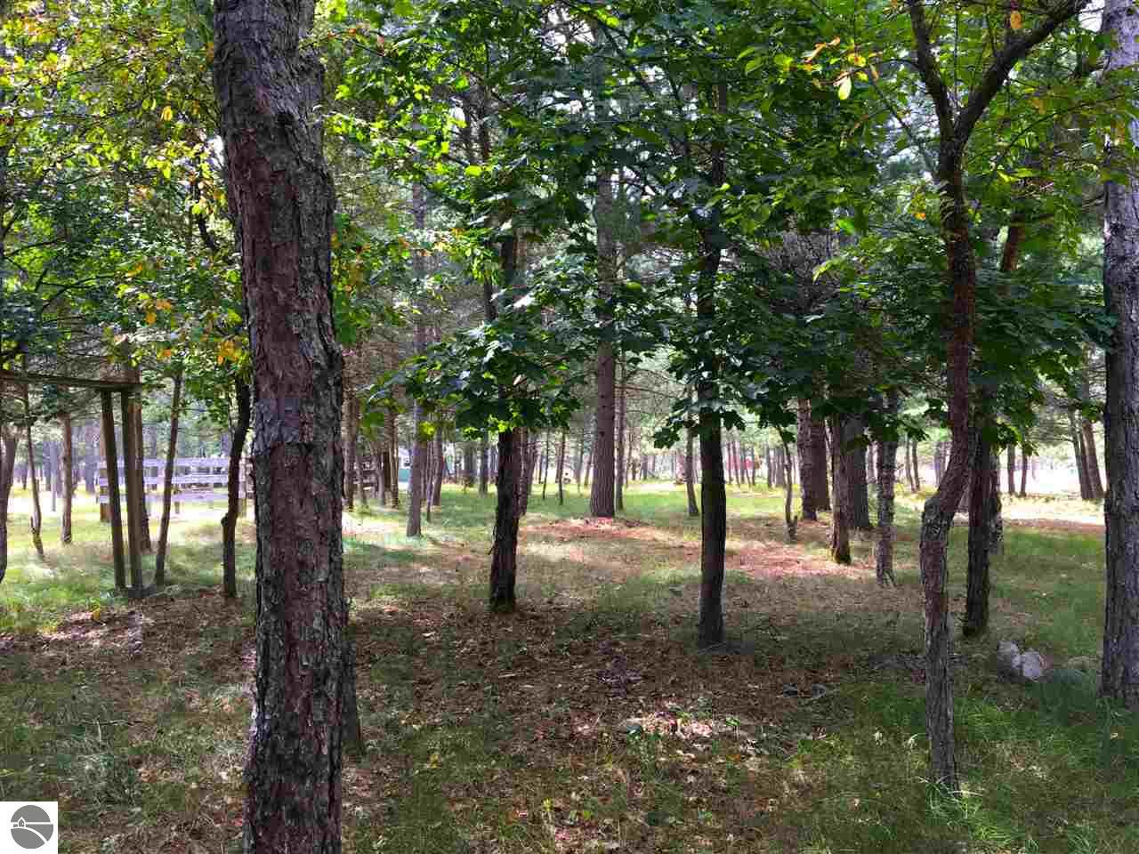 9769 Parrot Circle