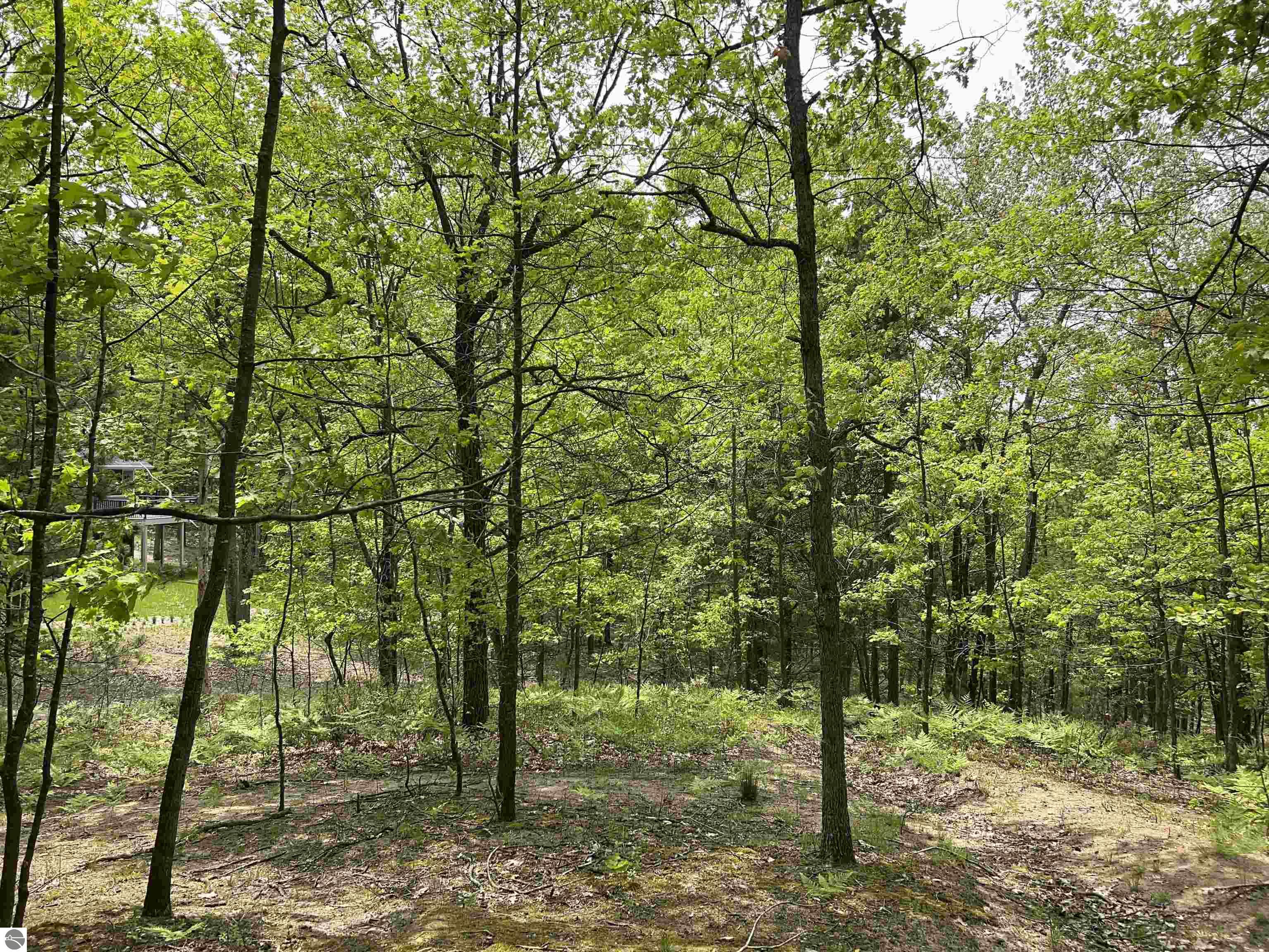 3423 Holiday Ridge Road