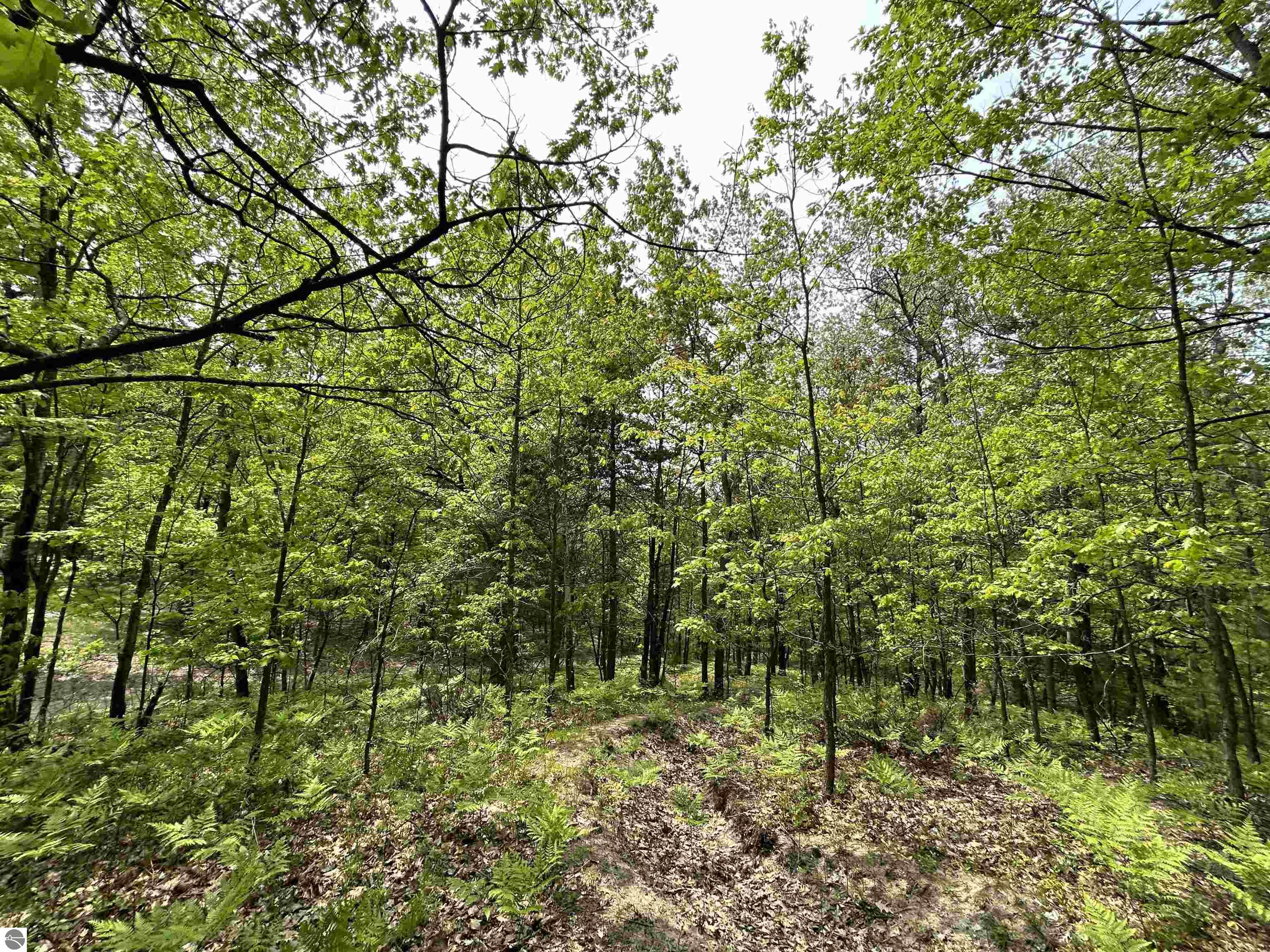 3423 Holiday Ridge Road