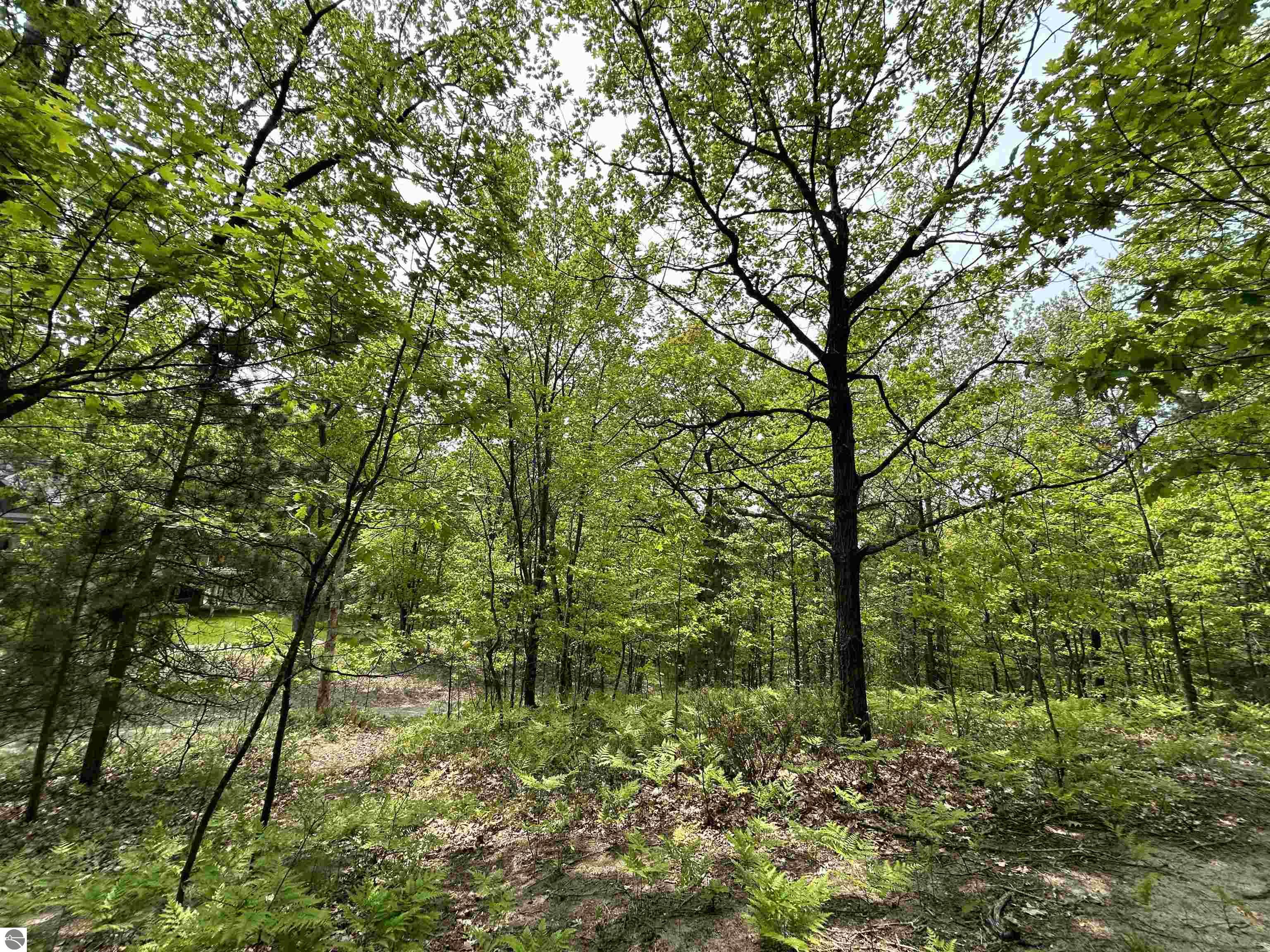 3423 Holiday Ridge Road