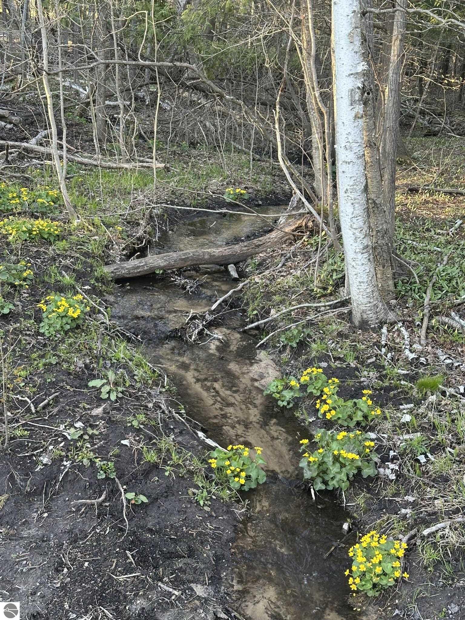 2075 S Lake Leelanau