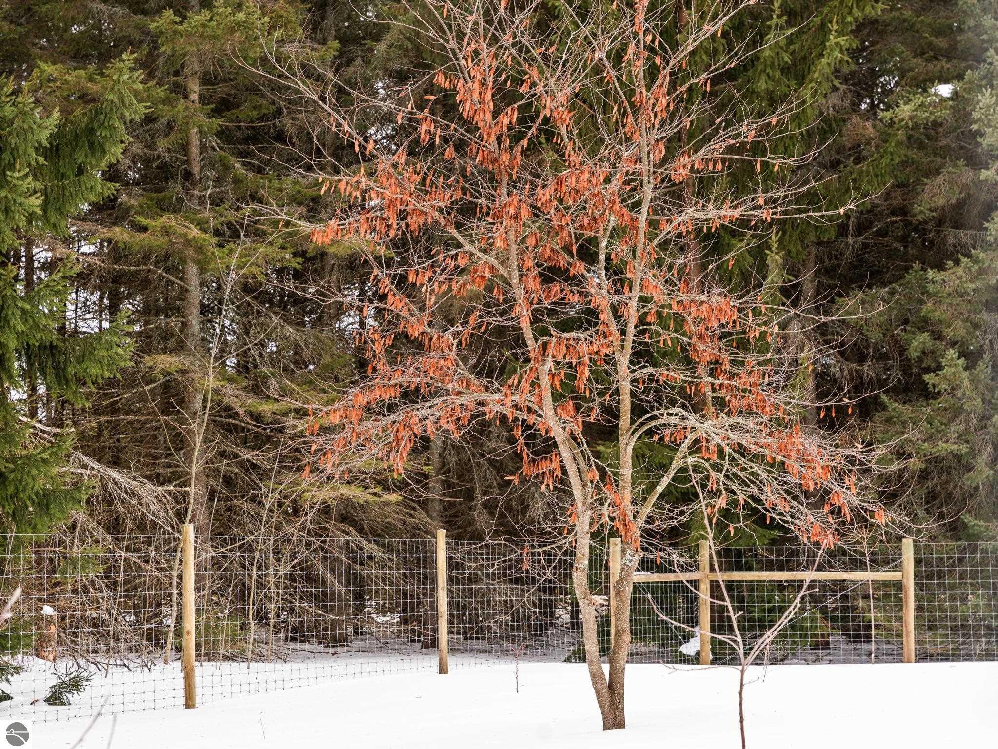 2075 S Lake Leelanau