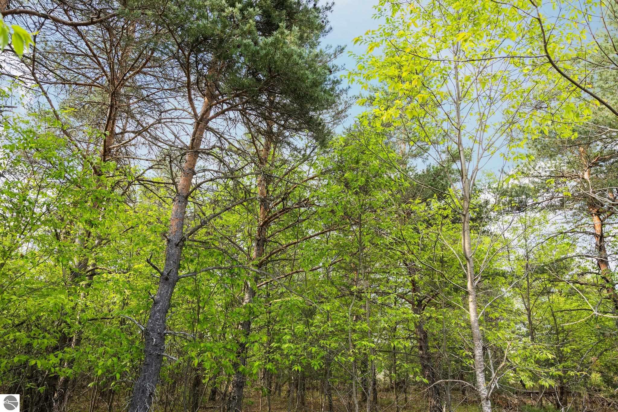 4091 W Crofton Road, SW