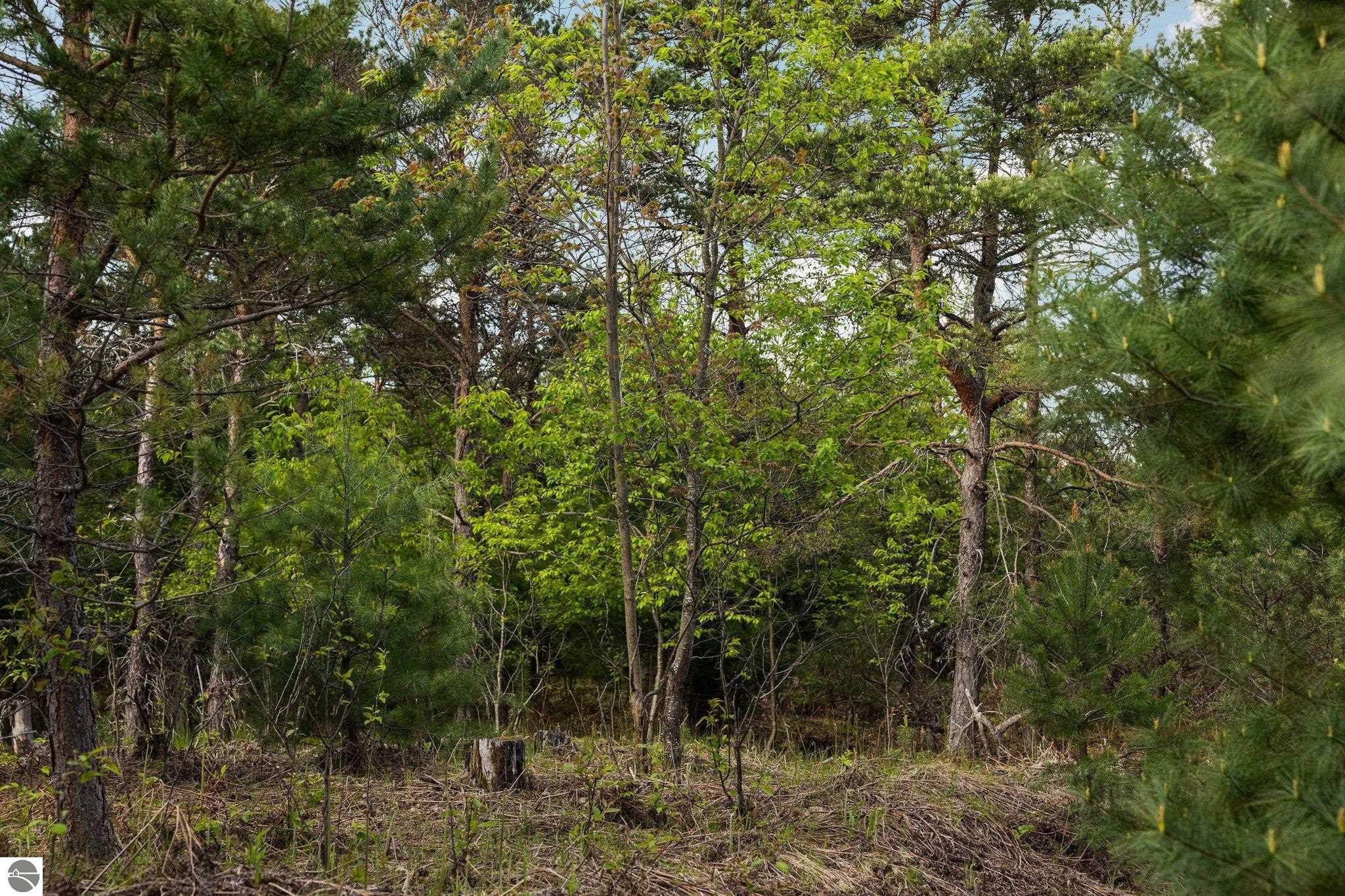 4091 W Crofton Road, SW