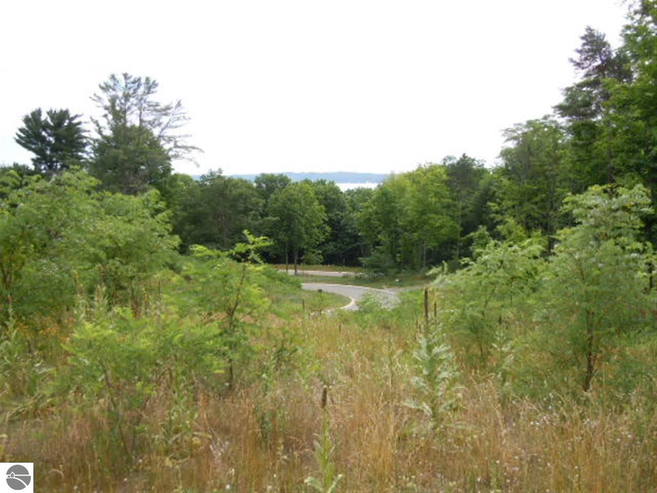 843 Wind Drift Drive