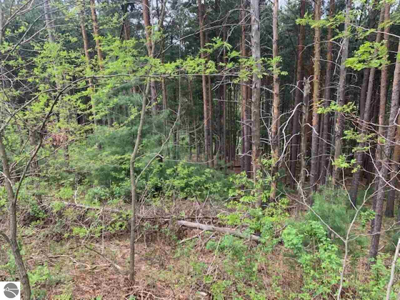 843 Wind Drift Drive