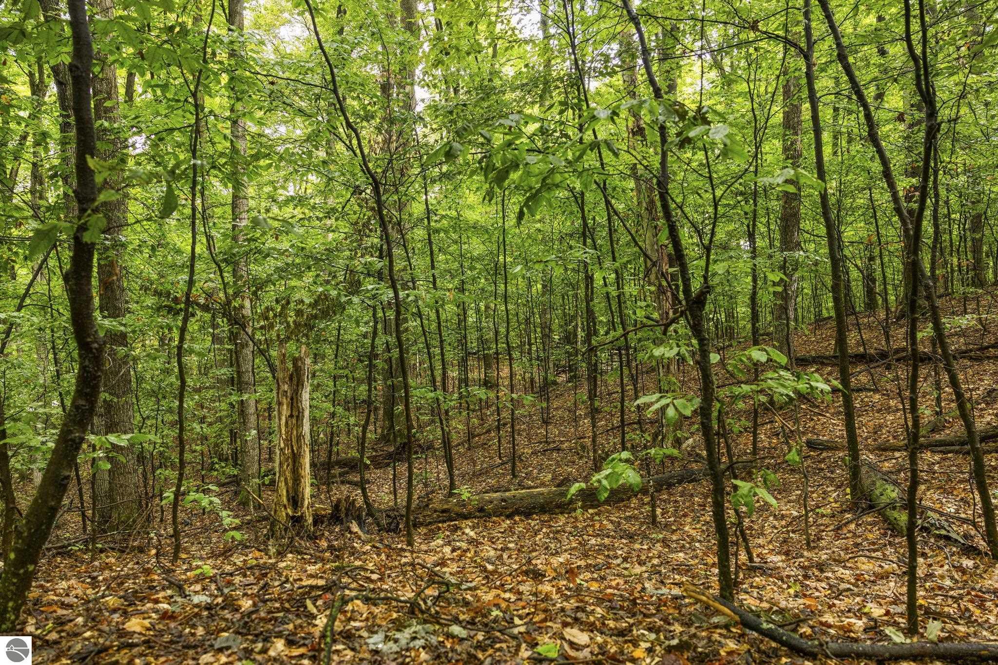 0 S Golden Valley Drive