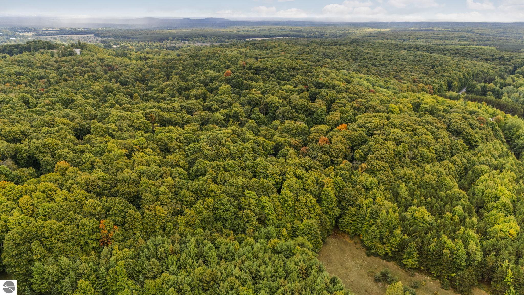 0 S Golden Valley Drive