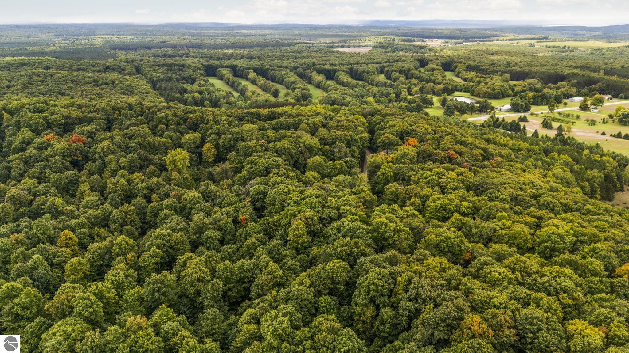 0 S Golden Valley Drive