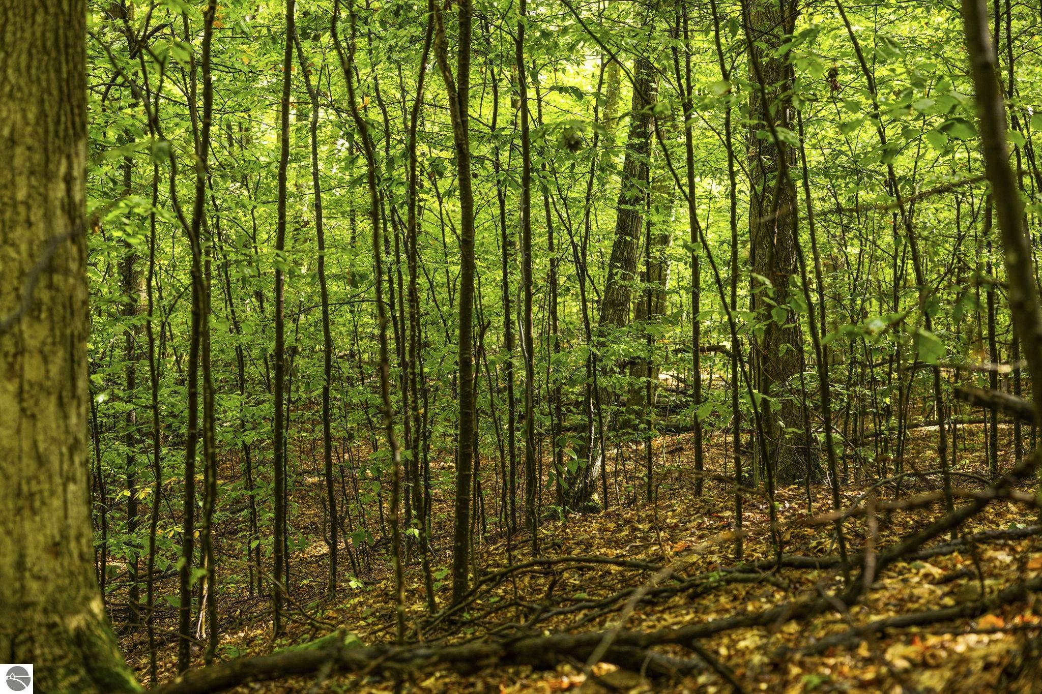 0 S Golden Valley Drive