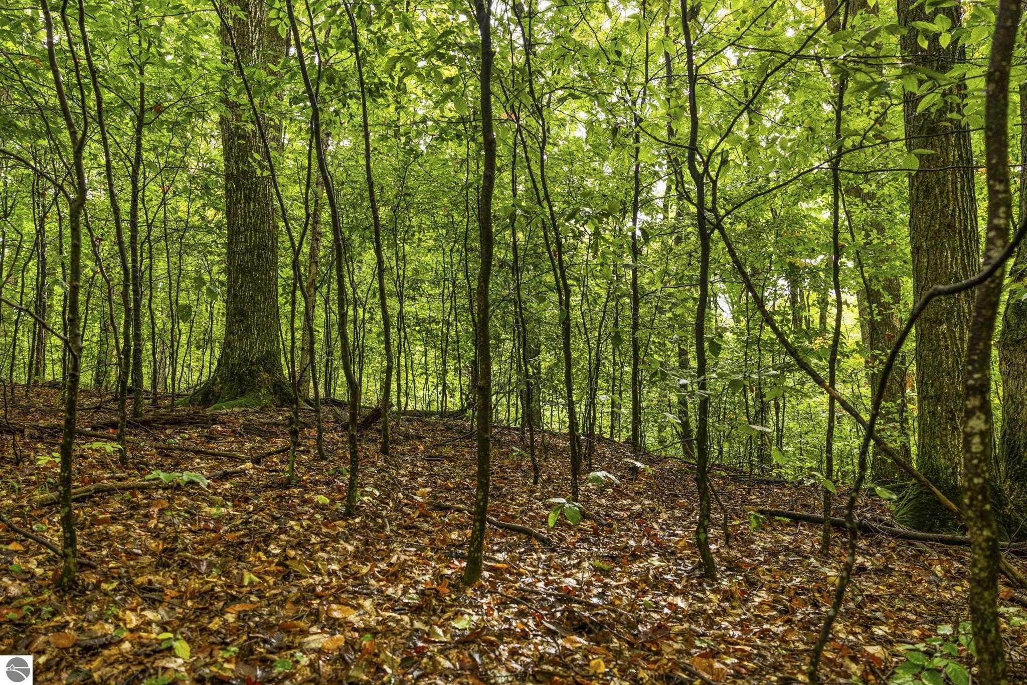 0 S Golden Valley Drive