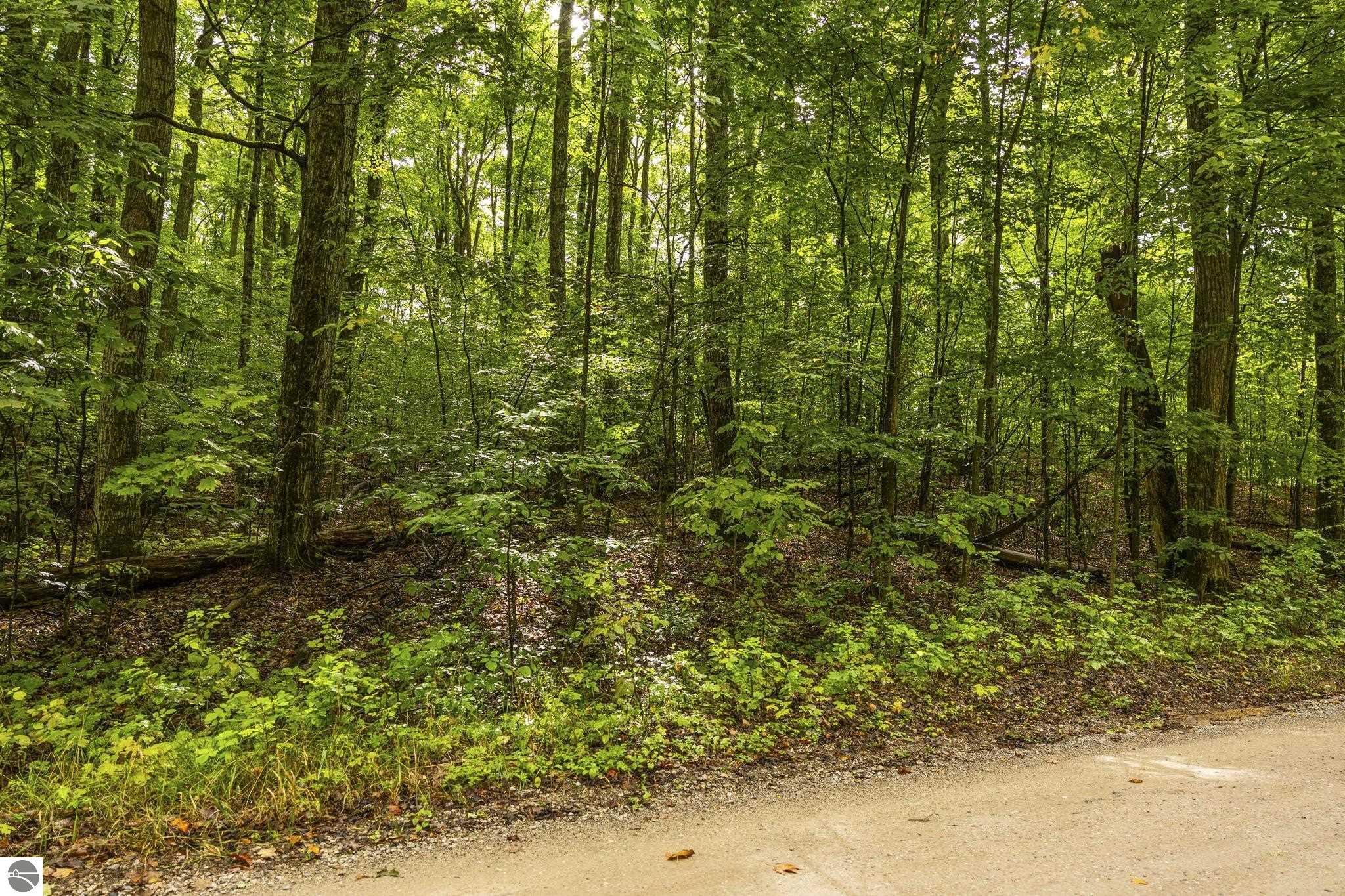 0 S Golden Valley Drive