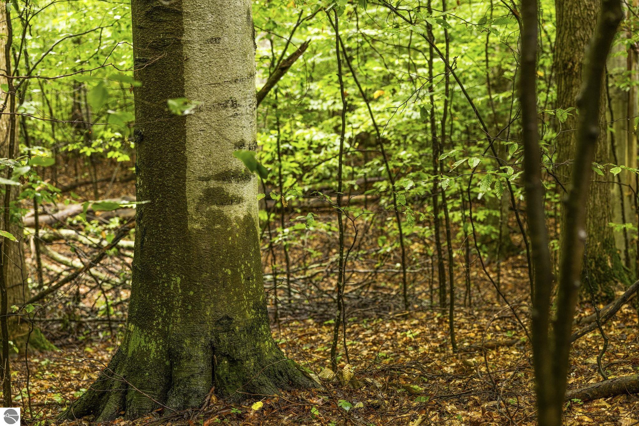 0 S Golden Valley Drive