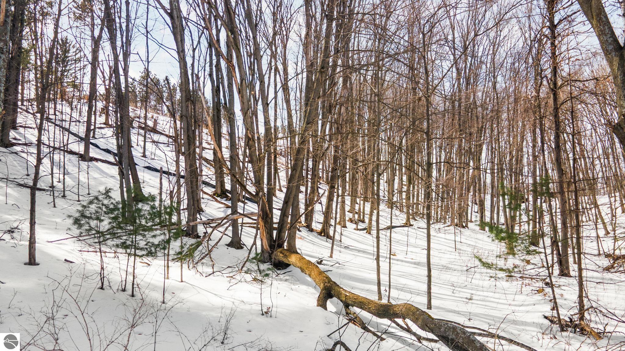 10660 / 10662 Old Morgan Trail