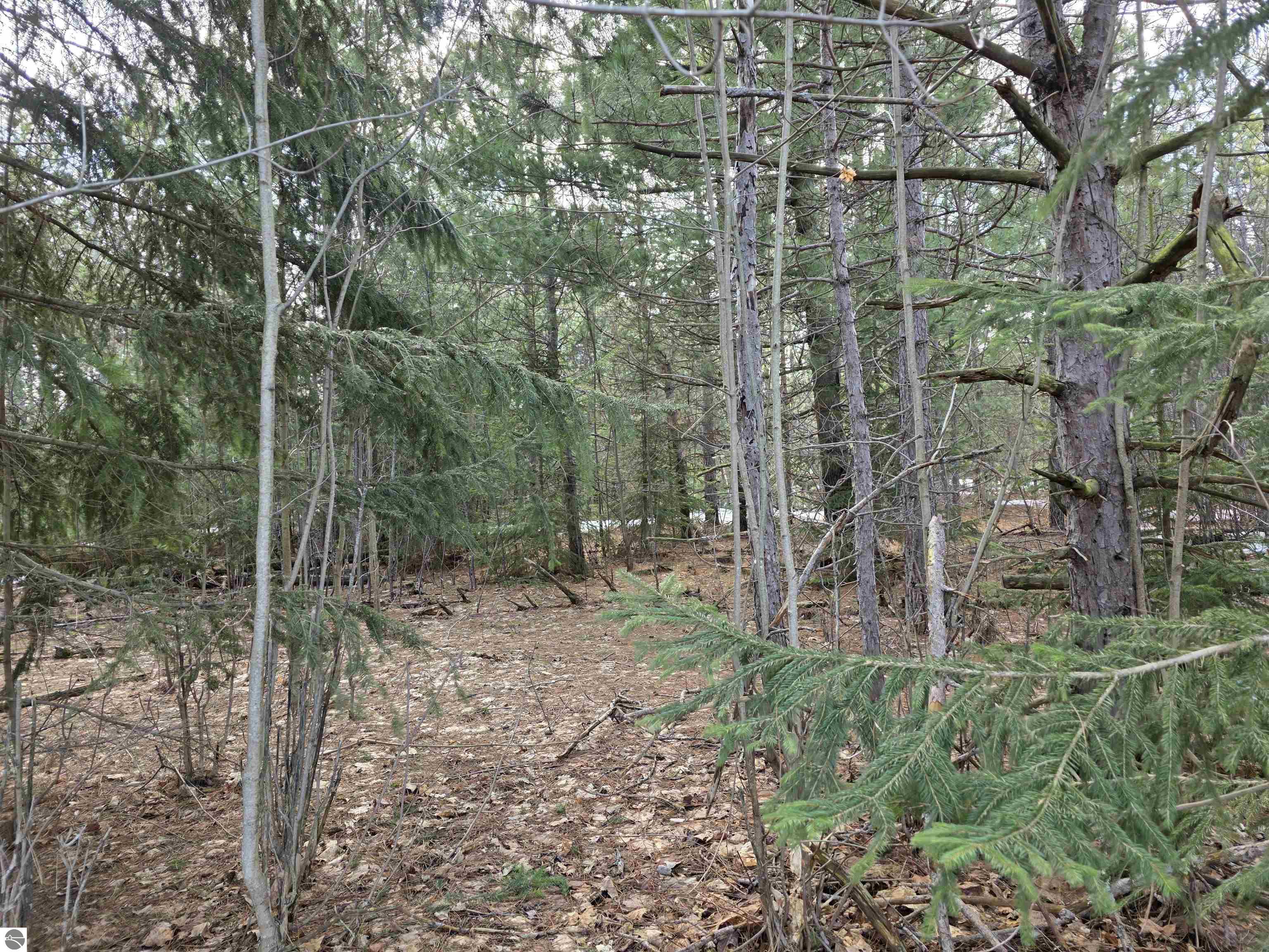 0001 Cedar River Road