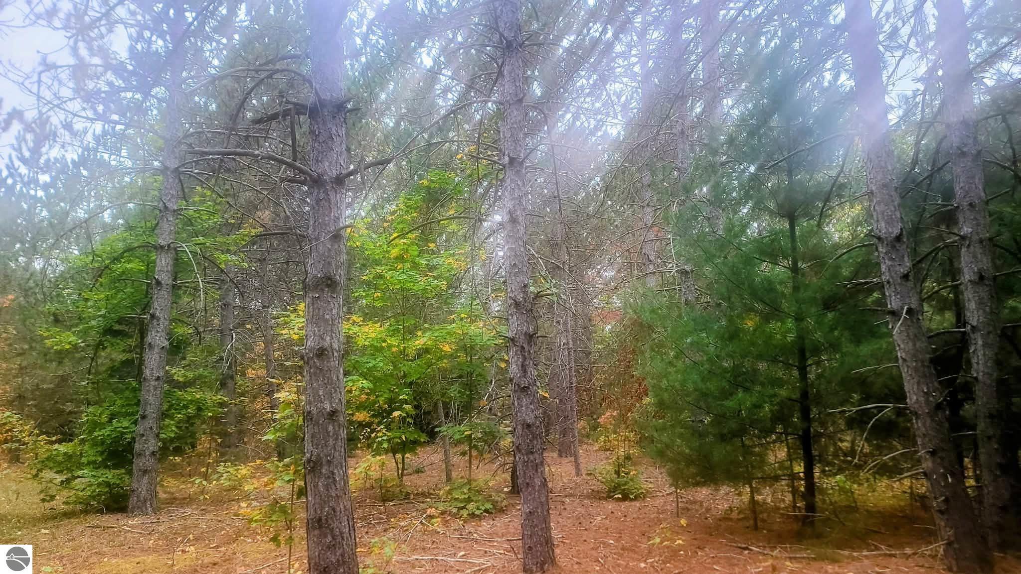 0001 Cedar River Road