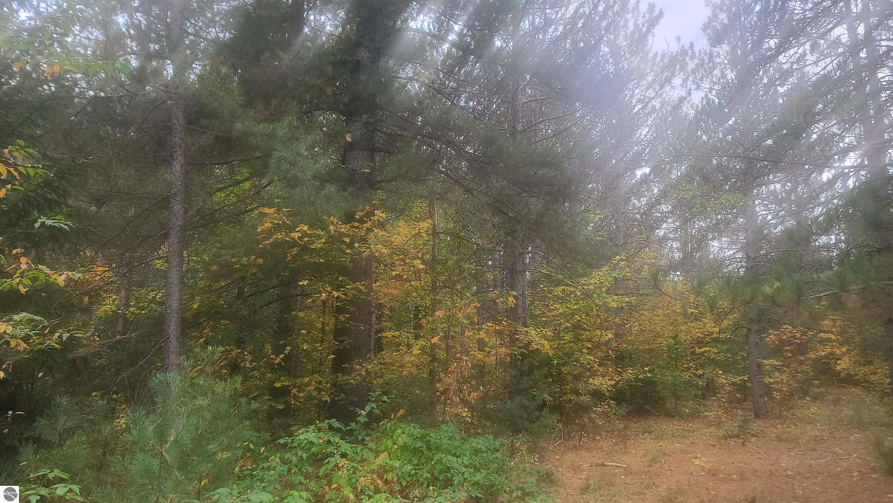 0001 Cedar River Road