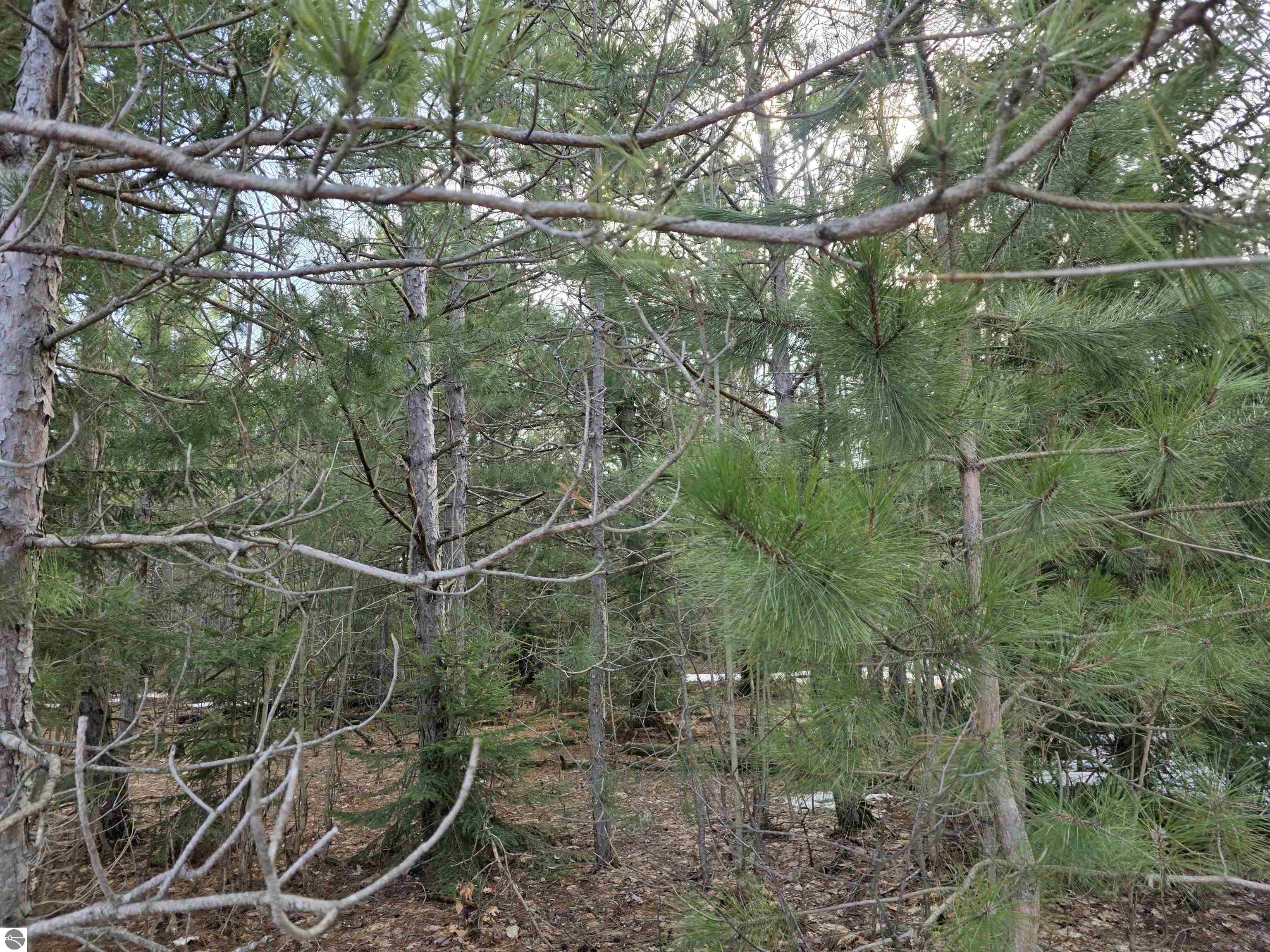 0001 Cedar River Road