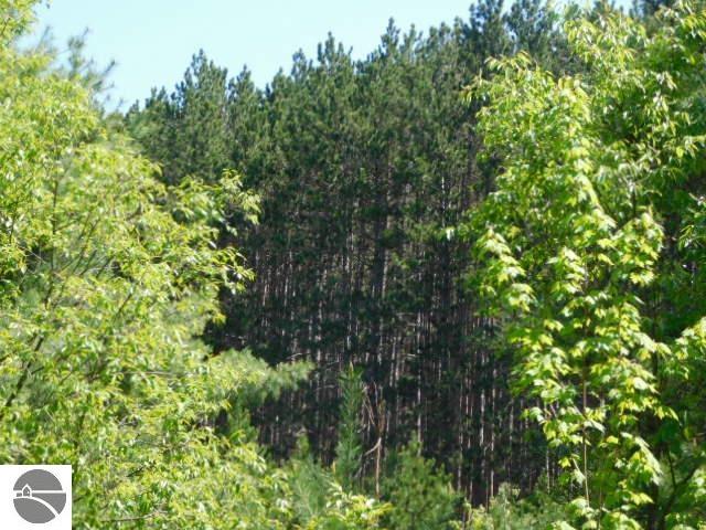 N Wheeler Lake Road