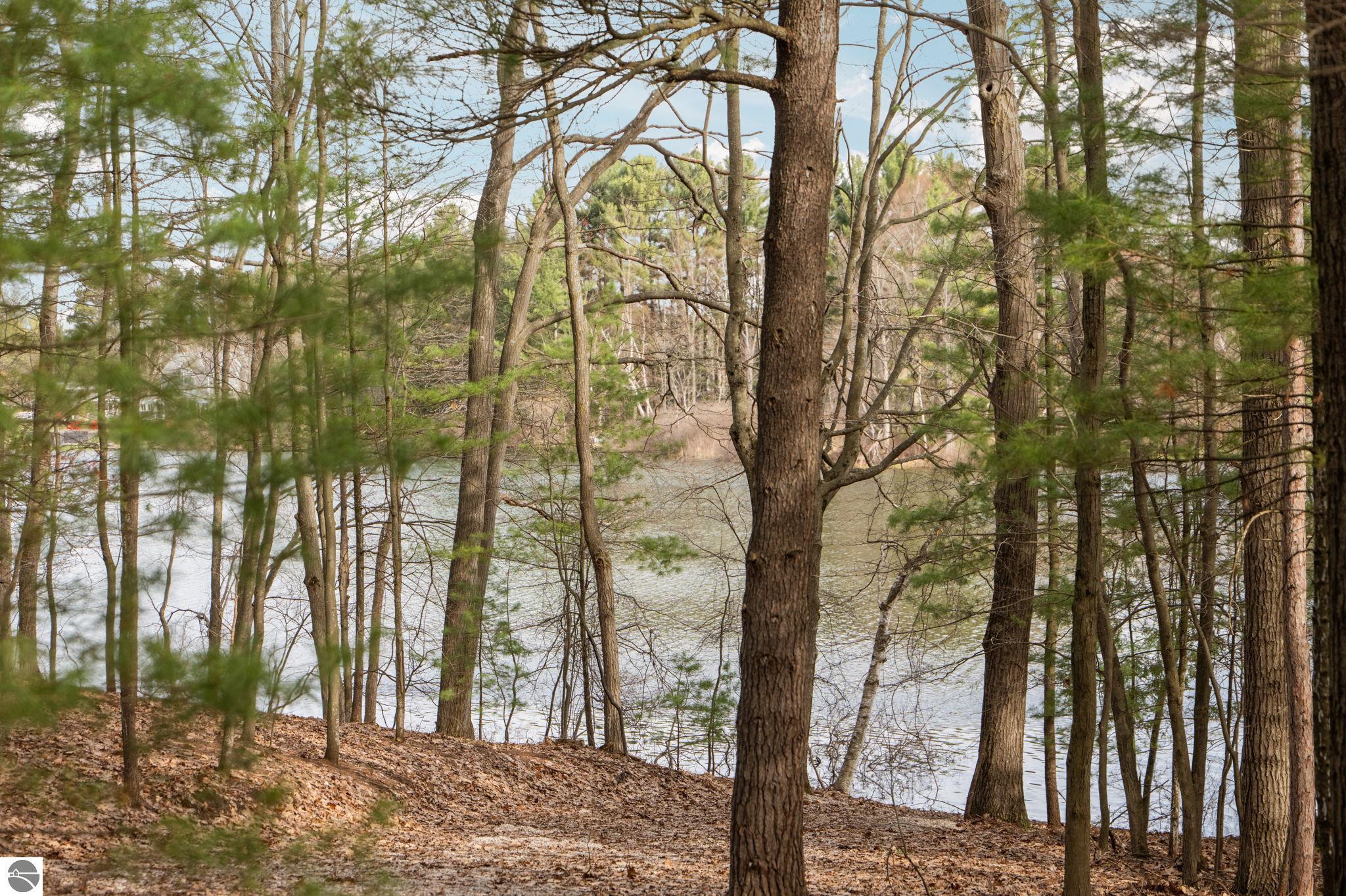 6802 Brandow Woods