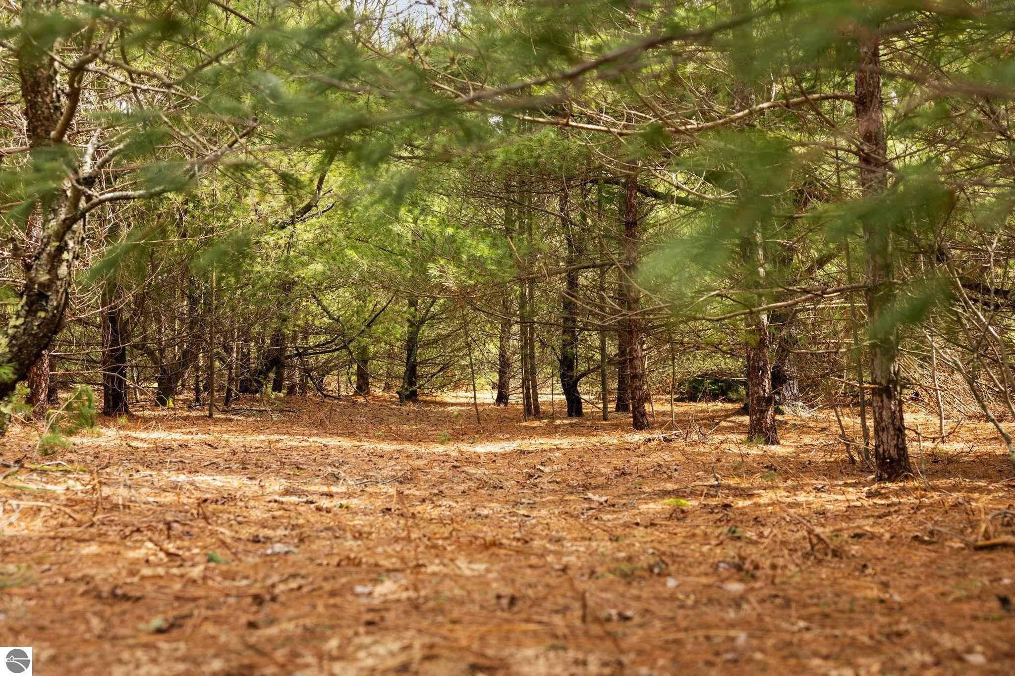 #3 Old Cabin Drive