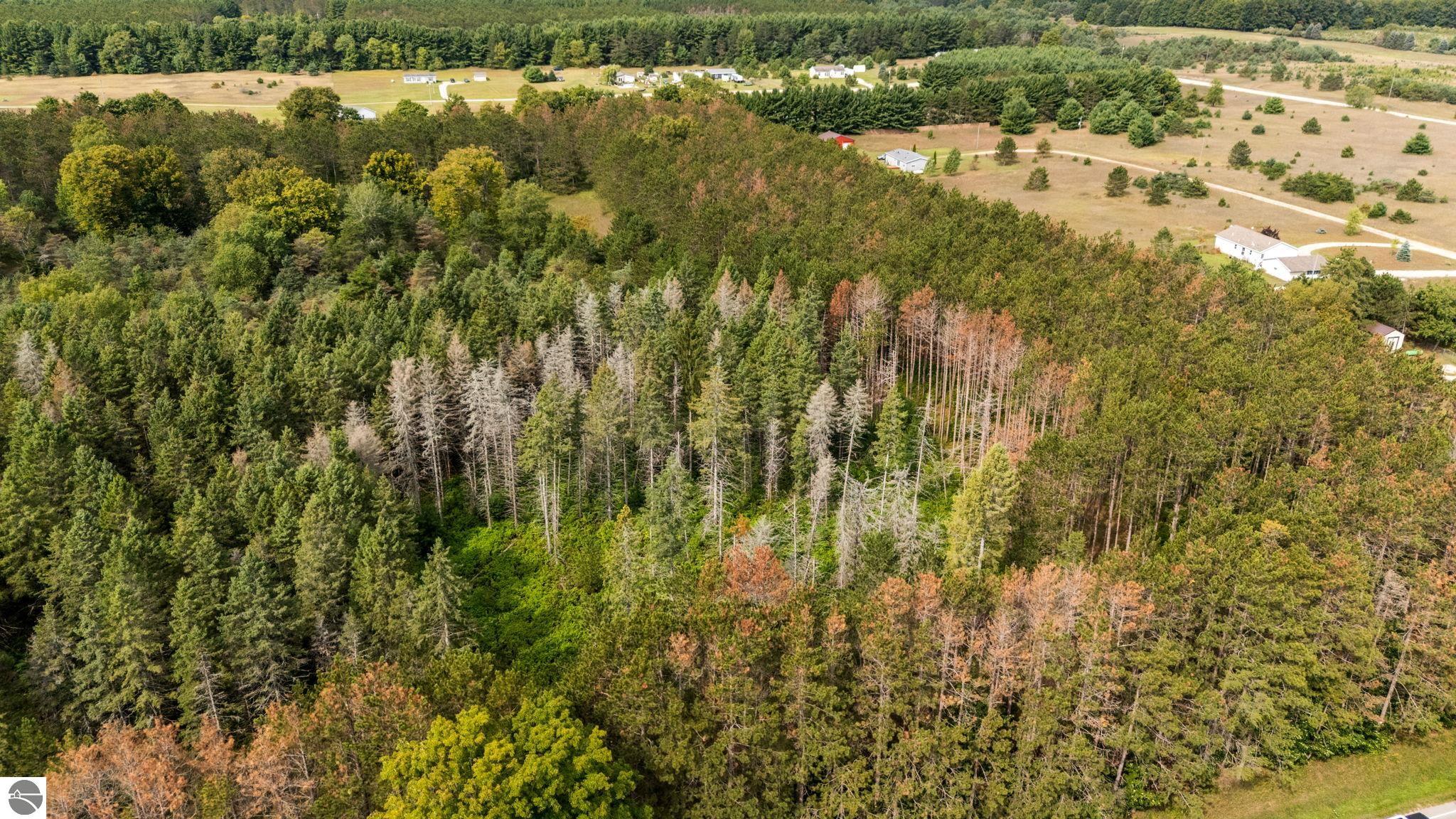 Maple City Highway