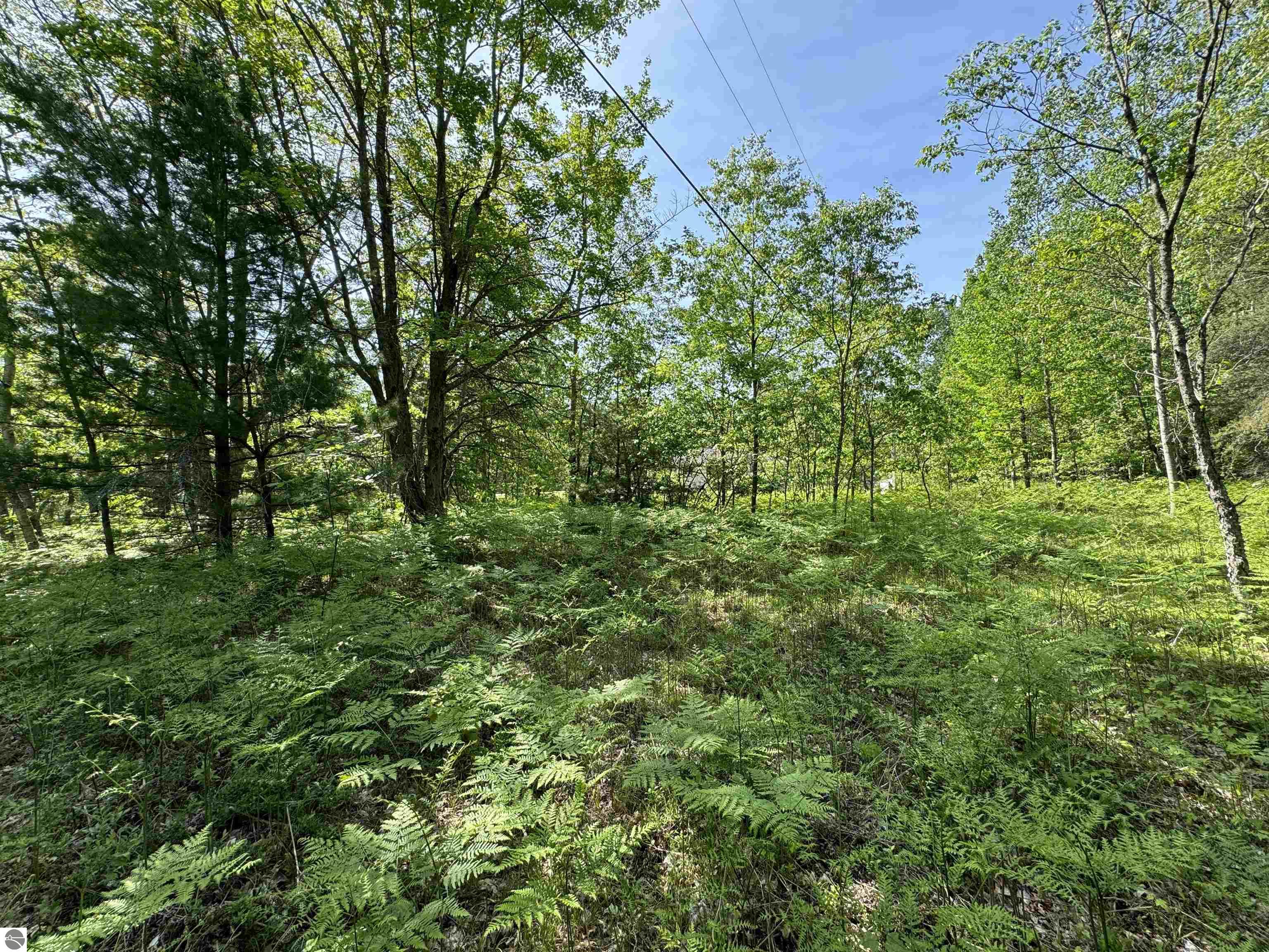 TBD Kalkaska Road NW