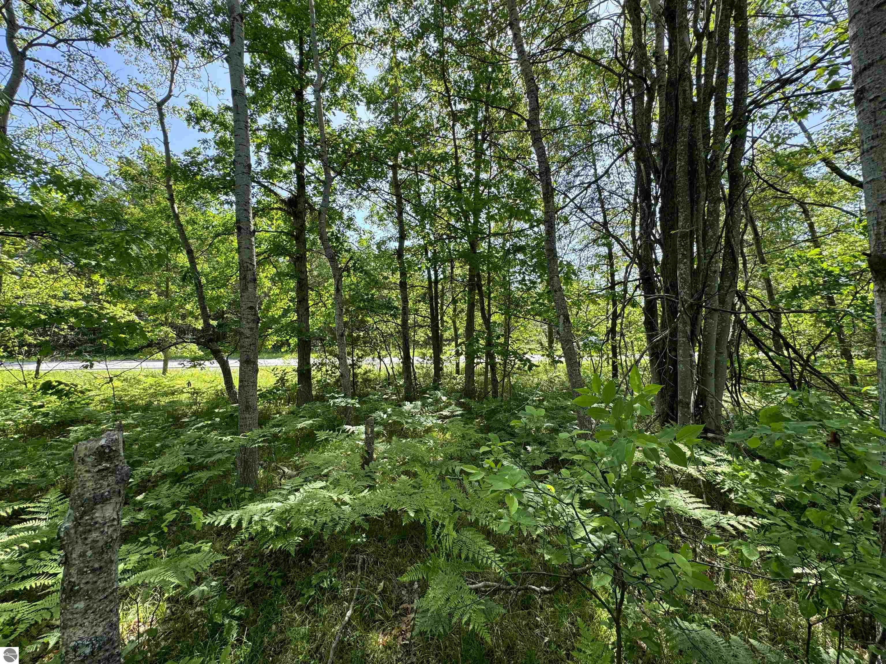 TBD Kalkaska Road NW