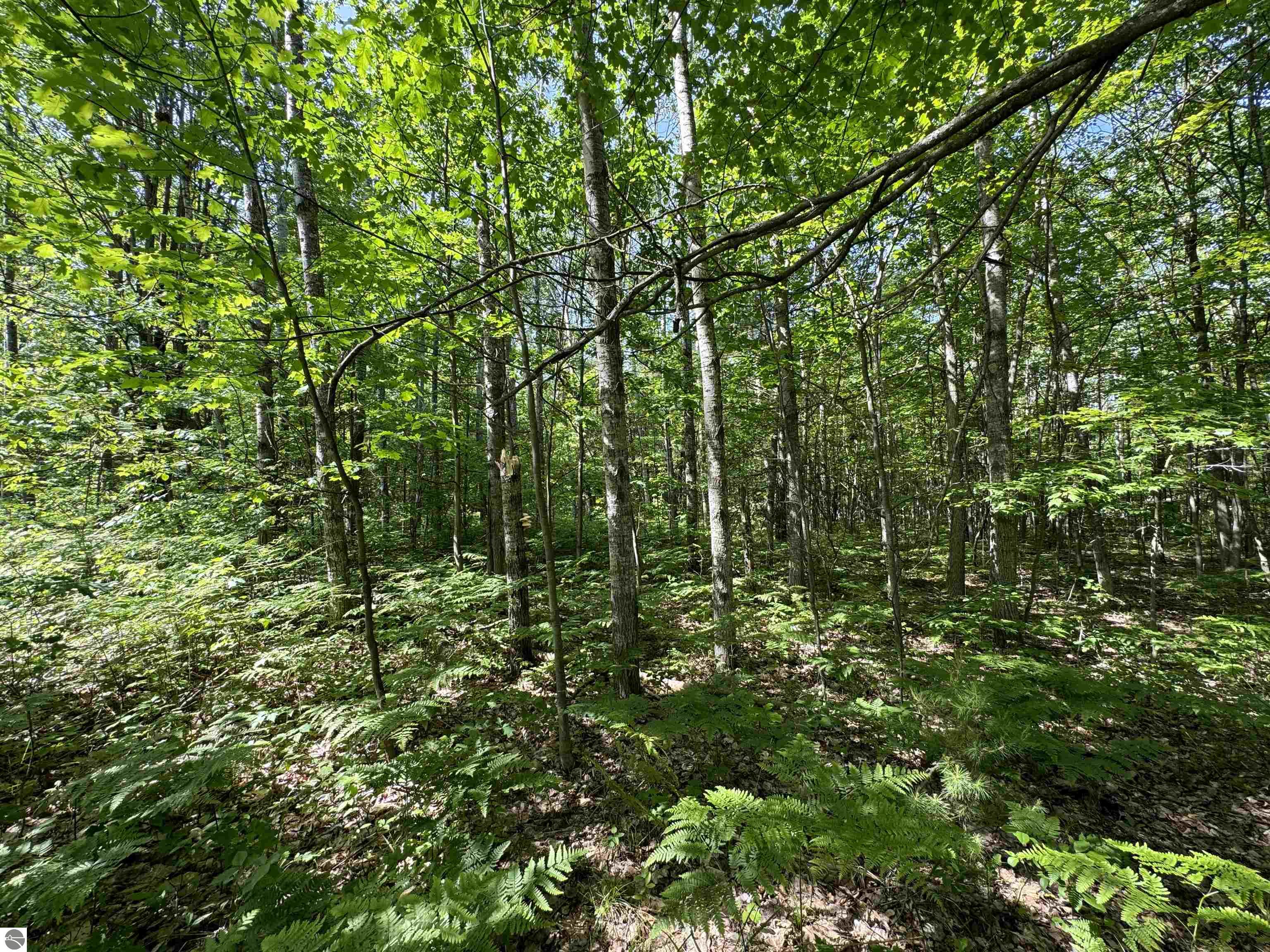TBD Kalkaska Road NW