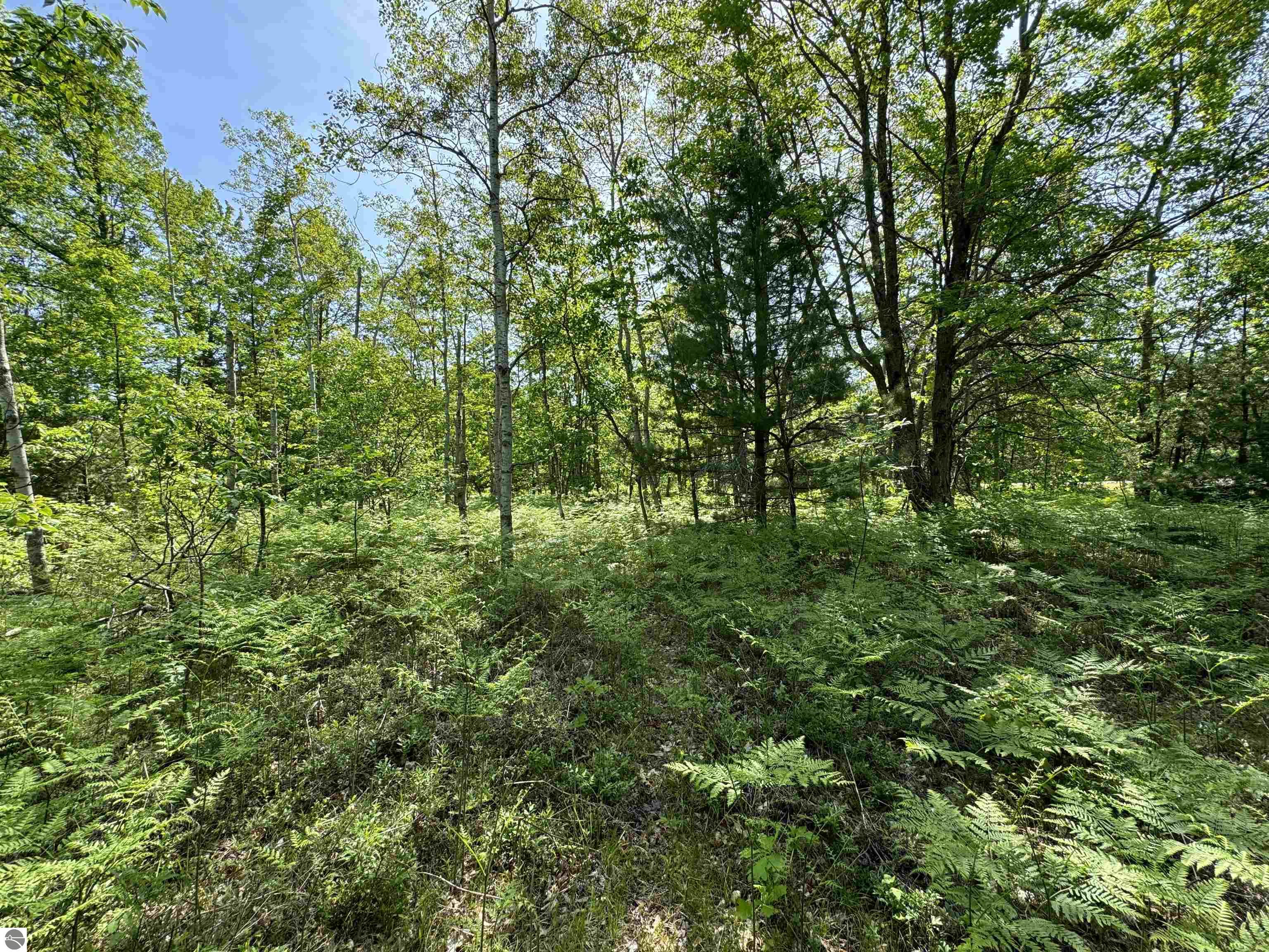 TBD Kalkaska Road NW