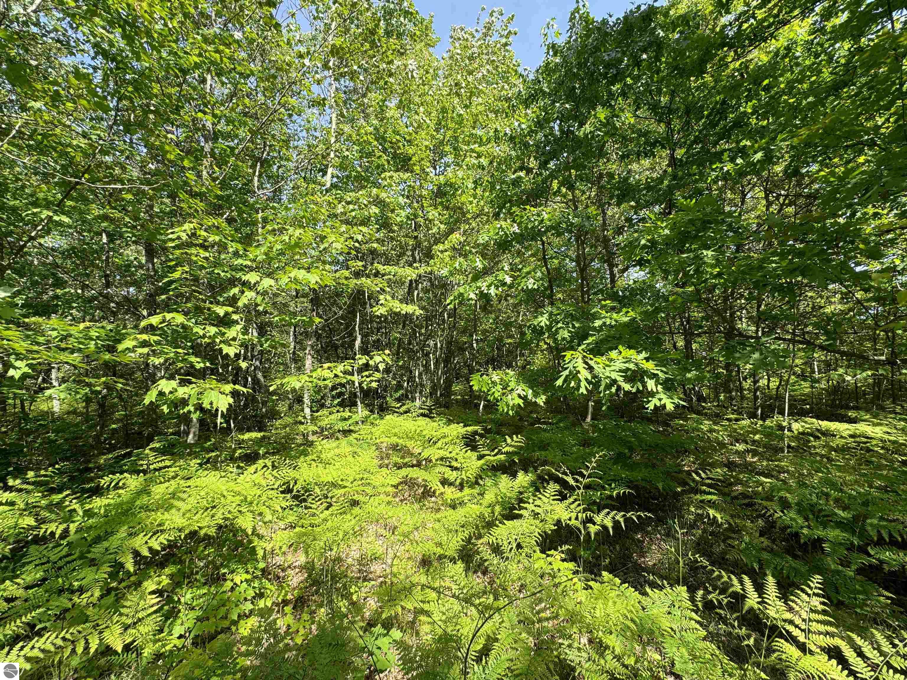 TBD Kalkaska Road NW