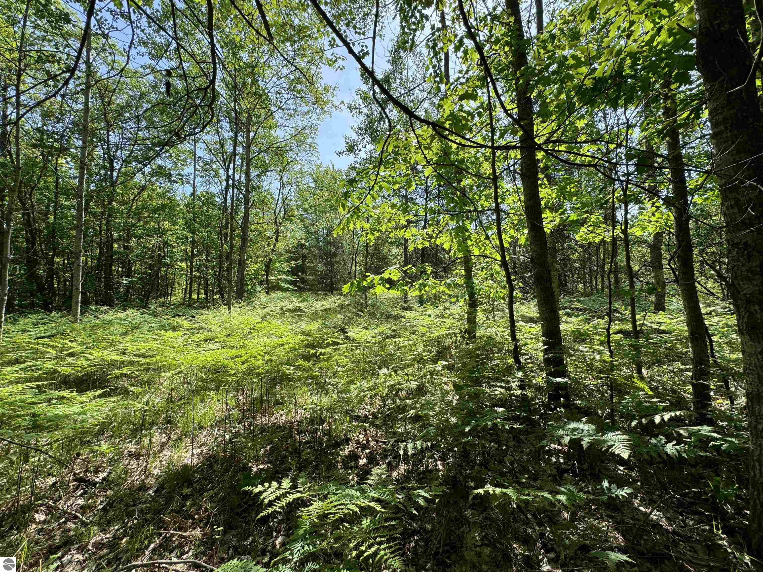 TBD Kalkaska Road NW