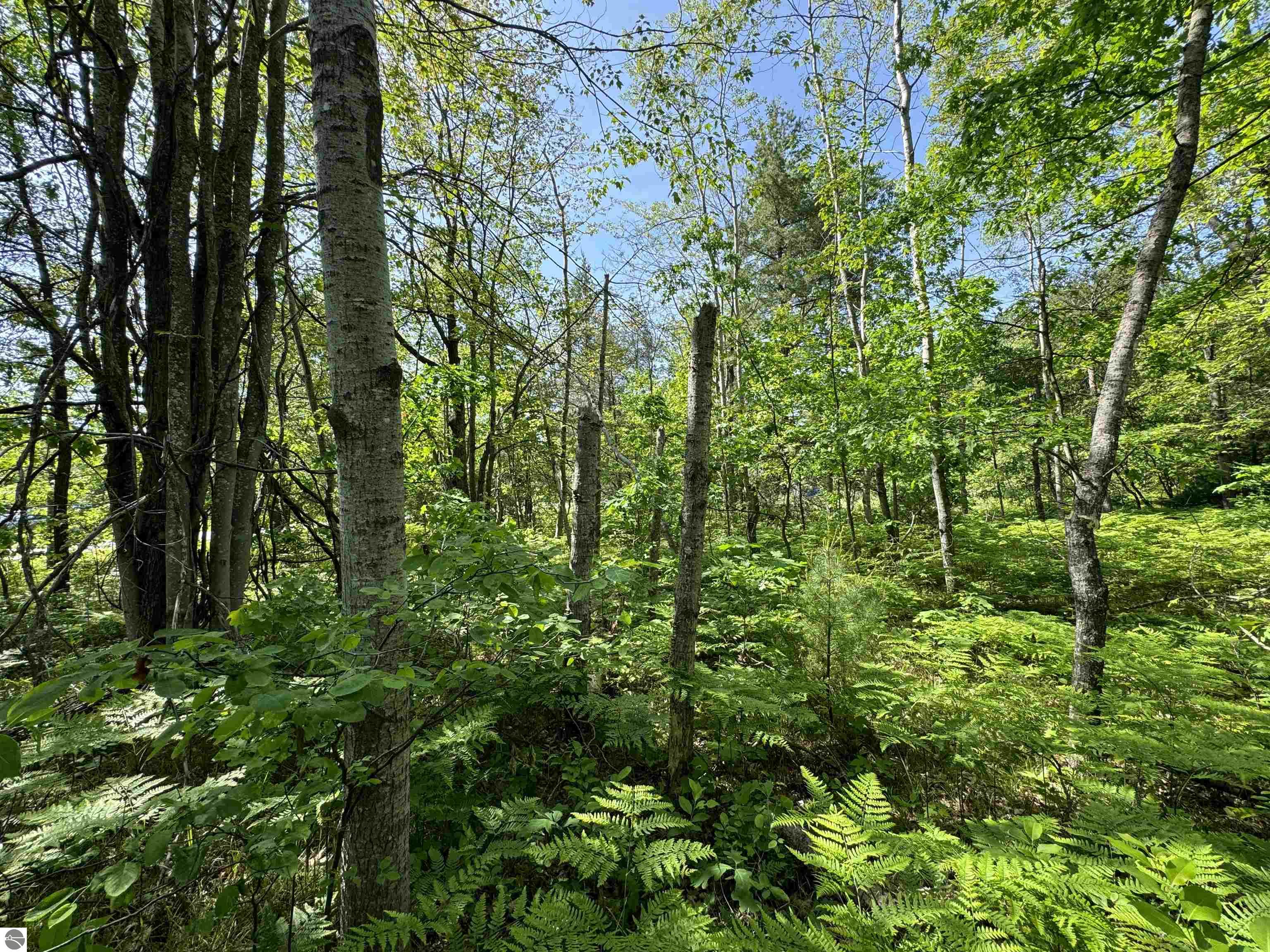 TBD Kalkaska Road NW