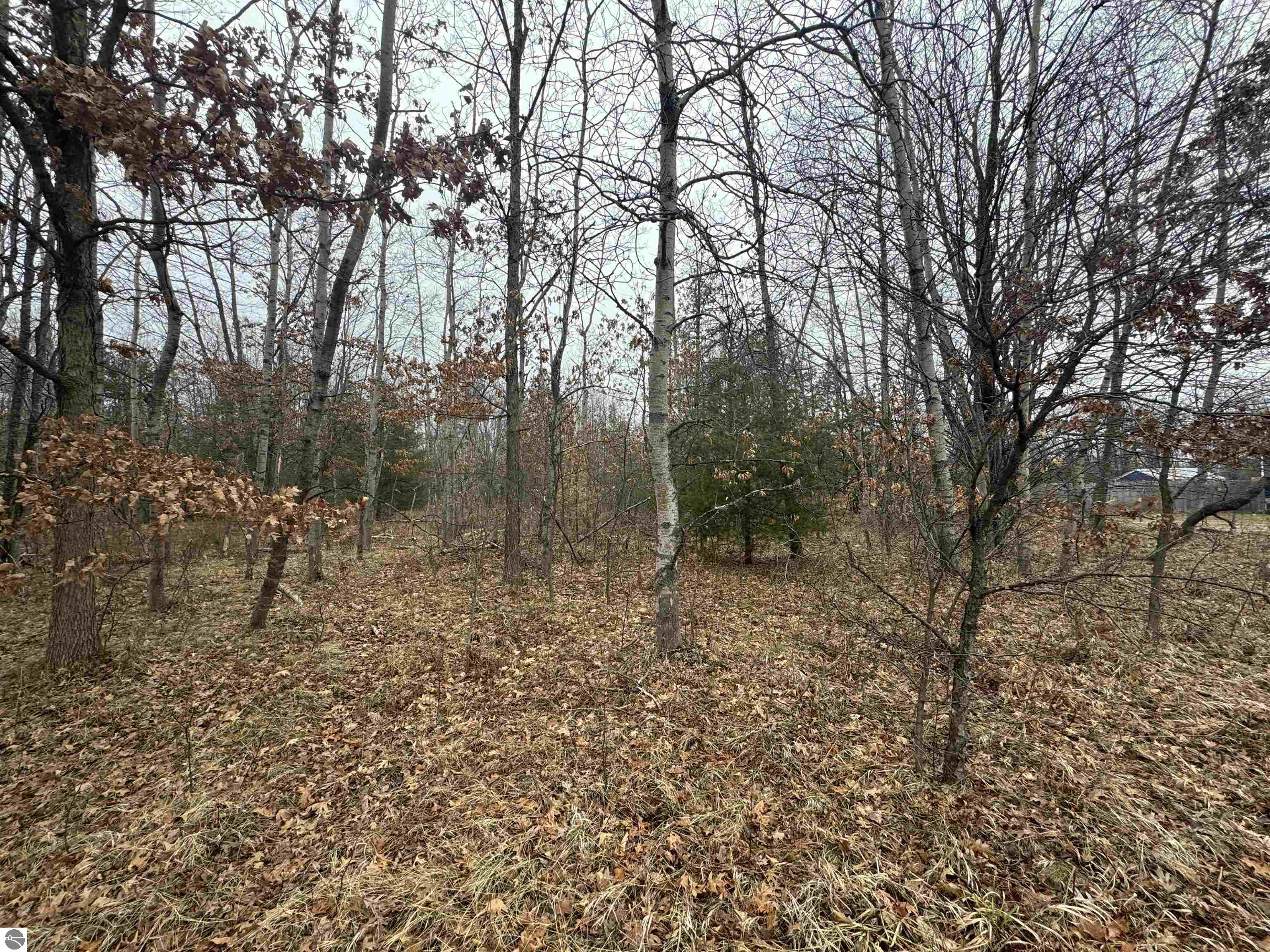 TBD Kalkaska Road NW