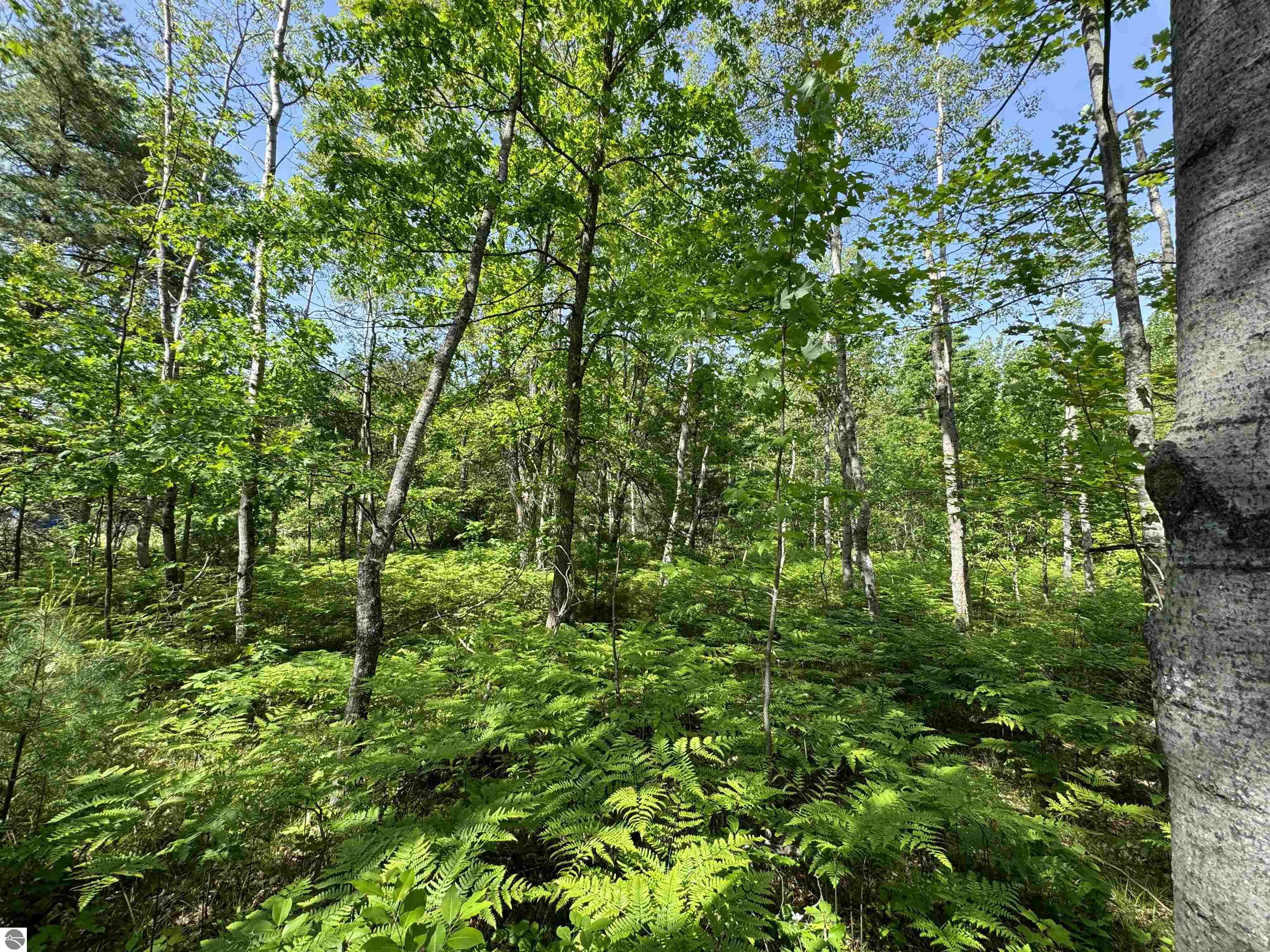 TBD Kalkaska Road NW