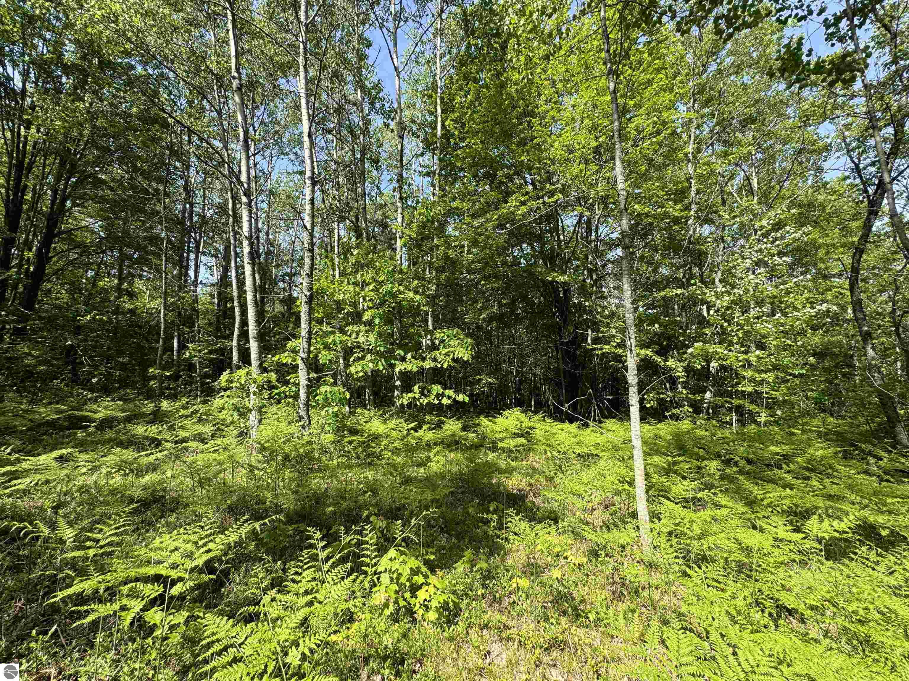 TBD Kalkaska Road NW