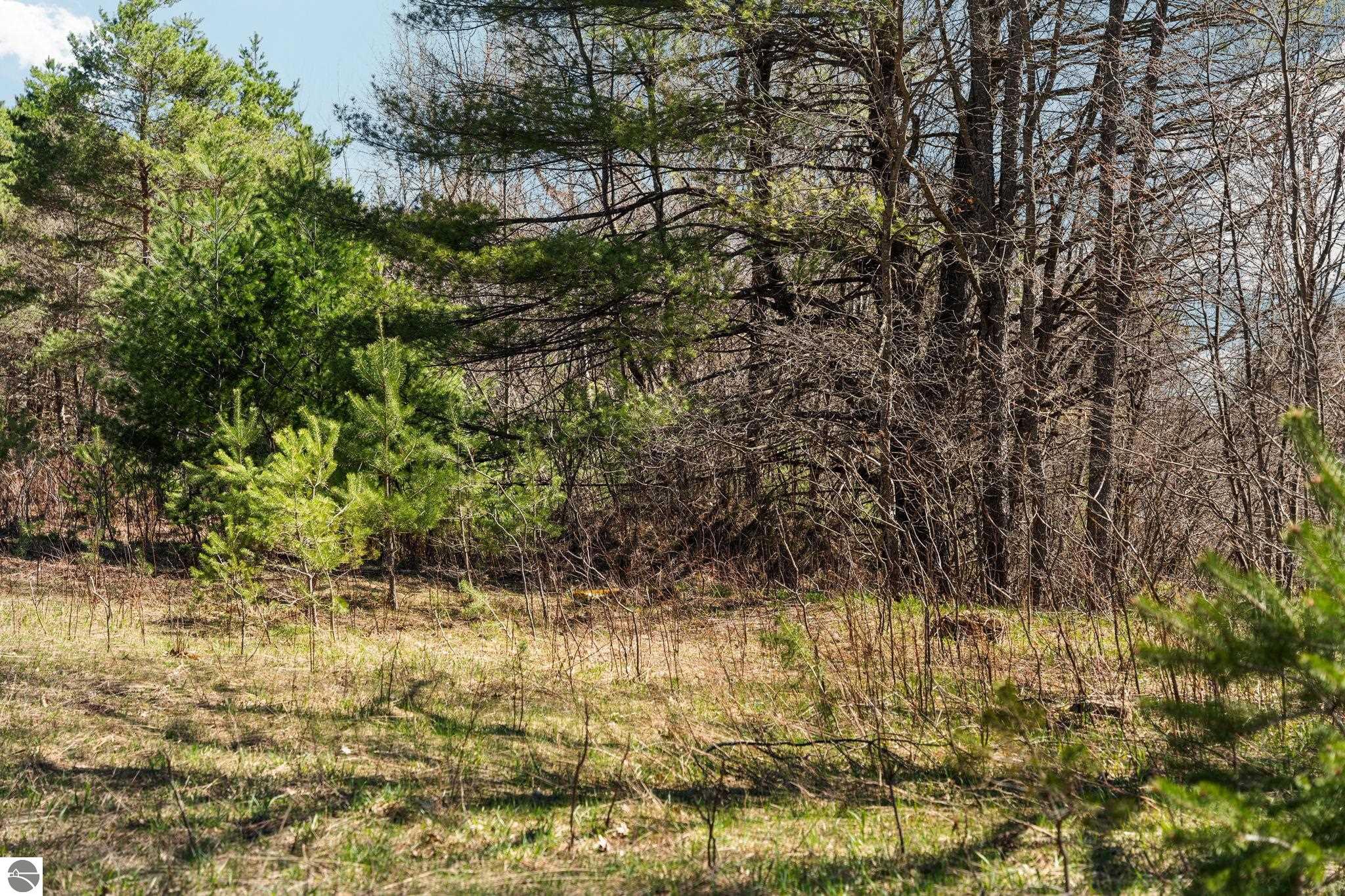 0 Ingersoll Road
