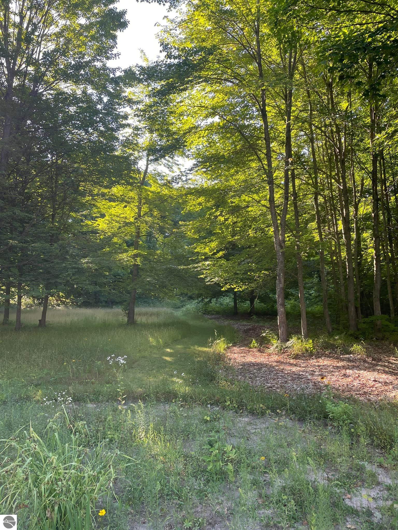 9122 Grimm Lane