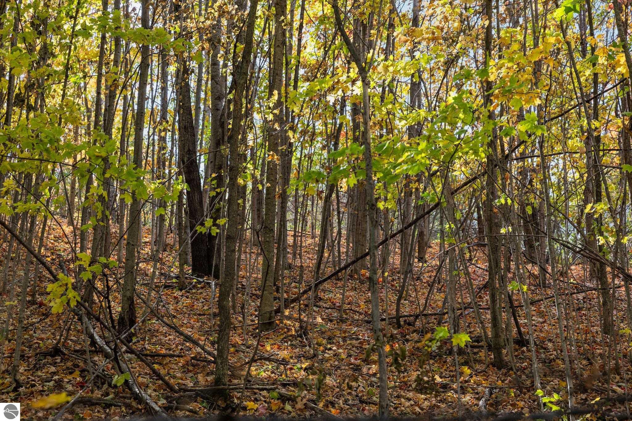 4525 Strait Road